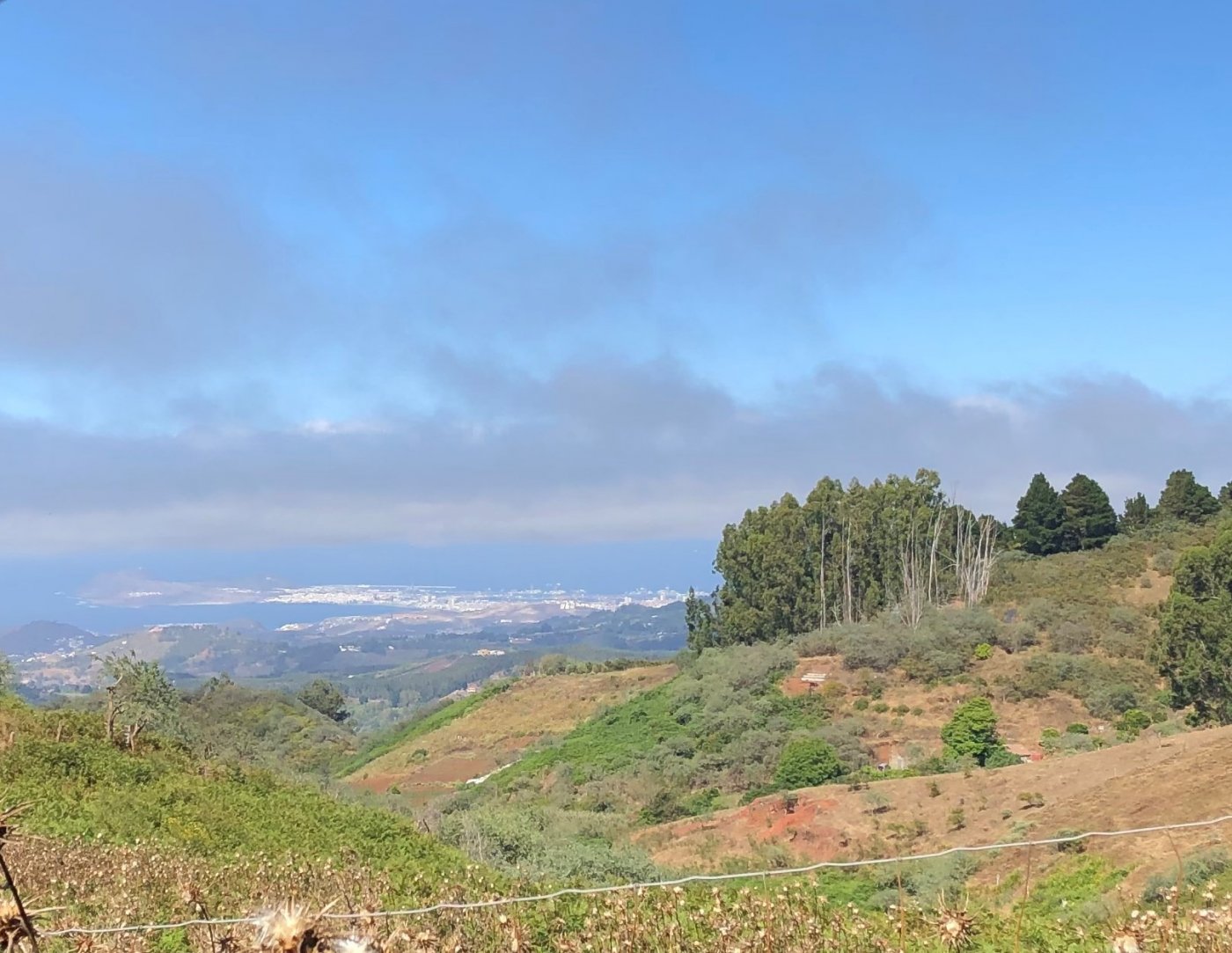 Pisos-Venta-Santa MarÃ­a de GuÃ­a de Gran Canaria-787328-Foto-25