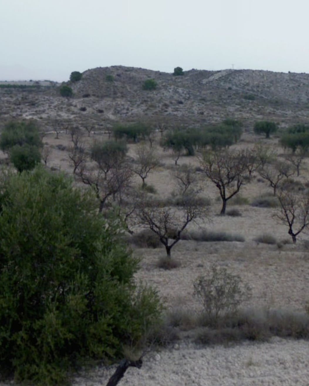 Suelo en venta, Los Valientes, Murcia