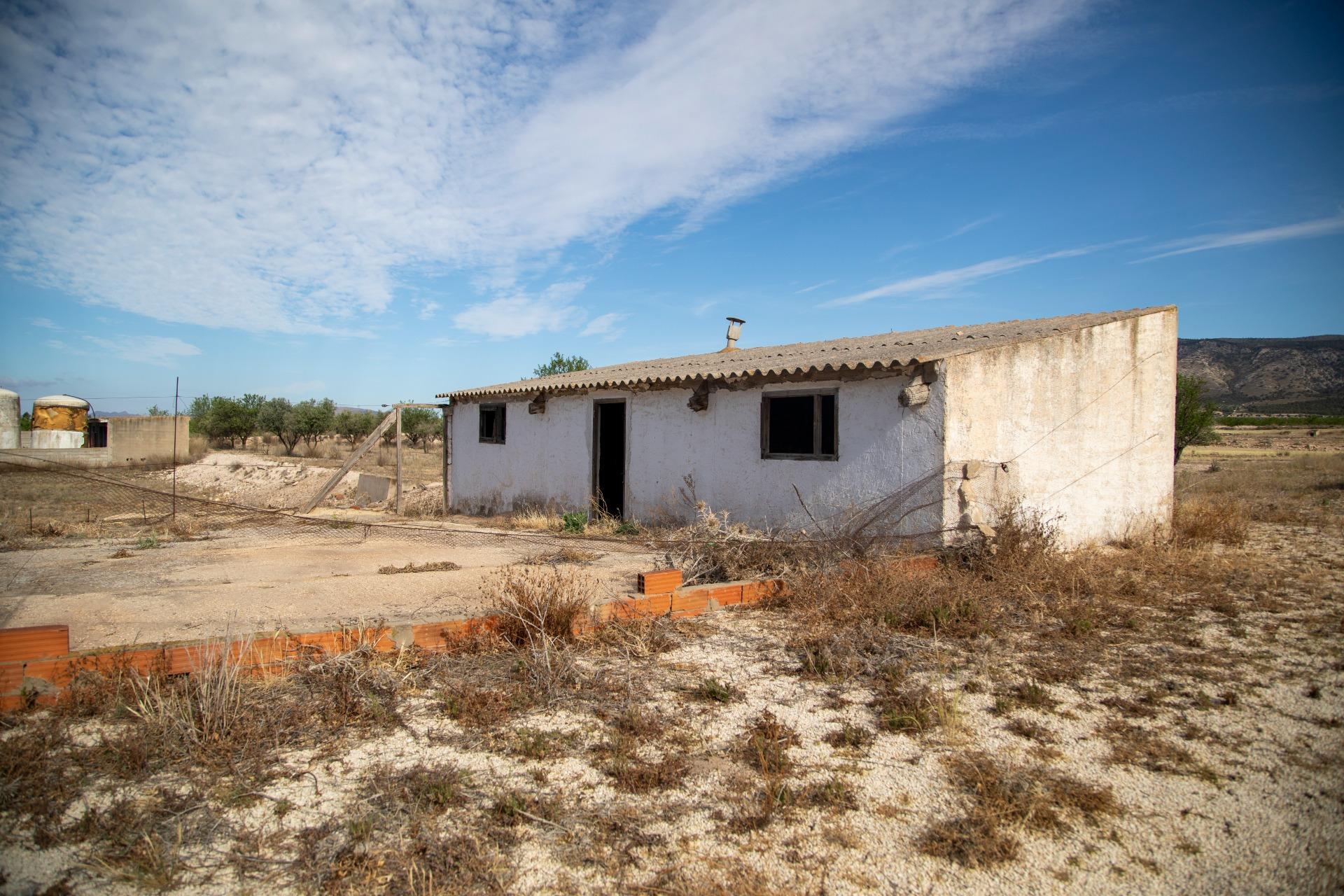 Pisos-Venta-Jumilla-832177-Foto-4