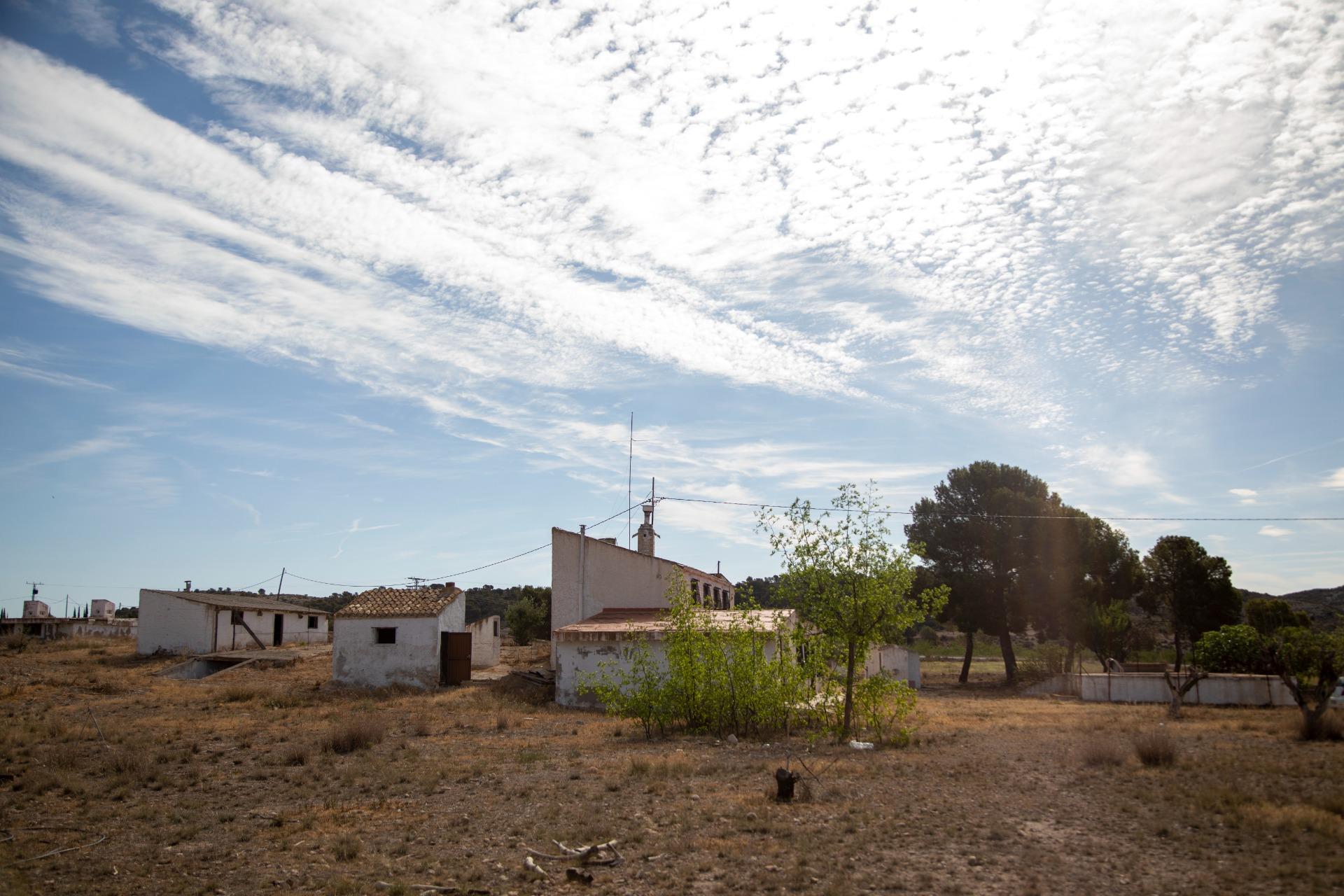 Pisos-Venta-Jumilla-832177-Foto-44