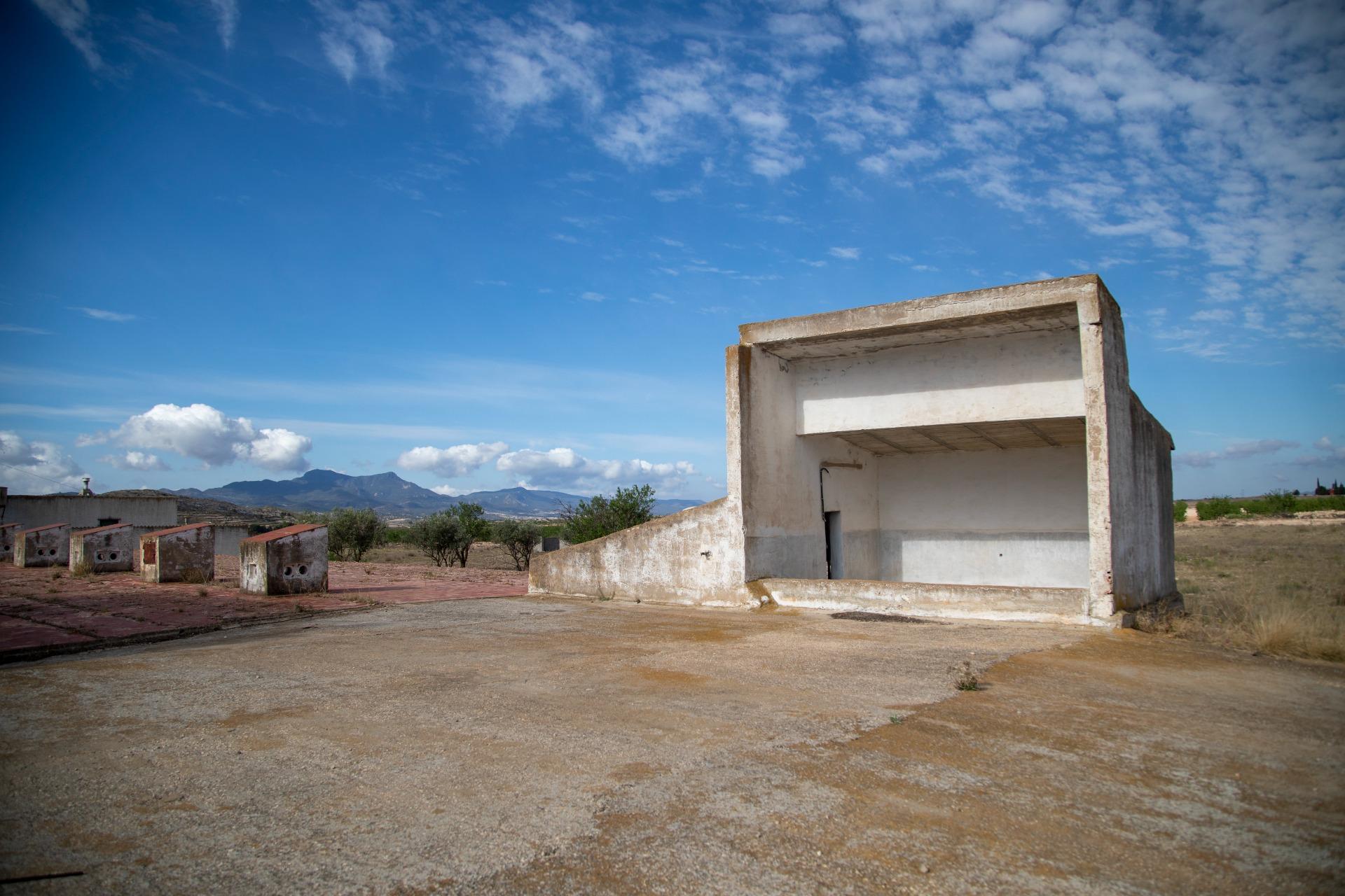 Pisos-Venta-Jumilla-832177-Foto-46