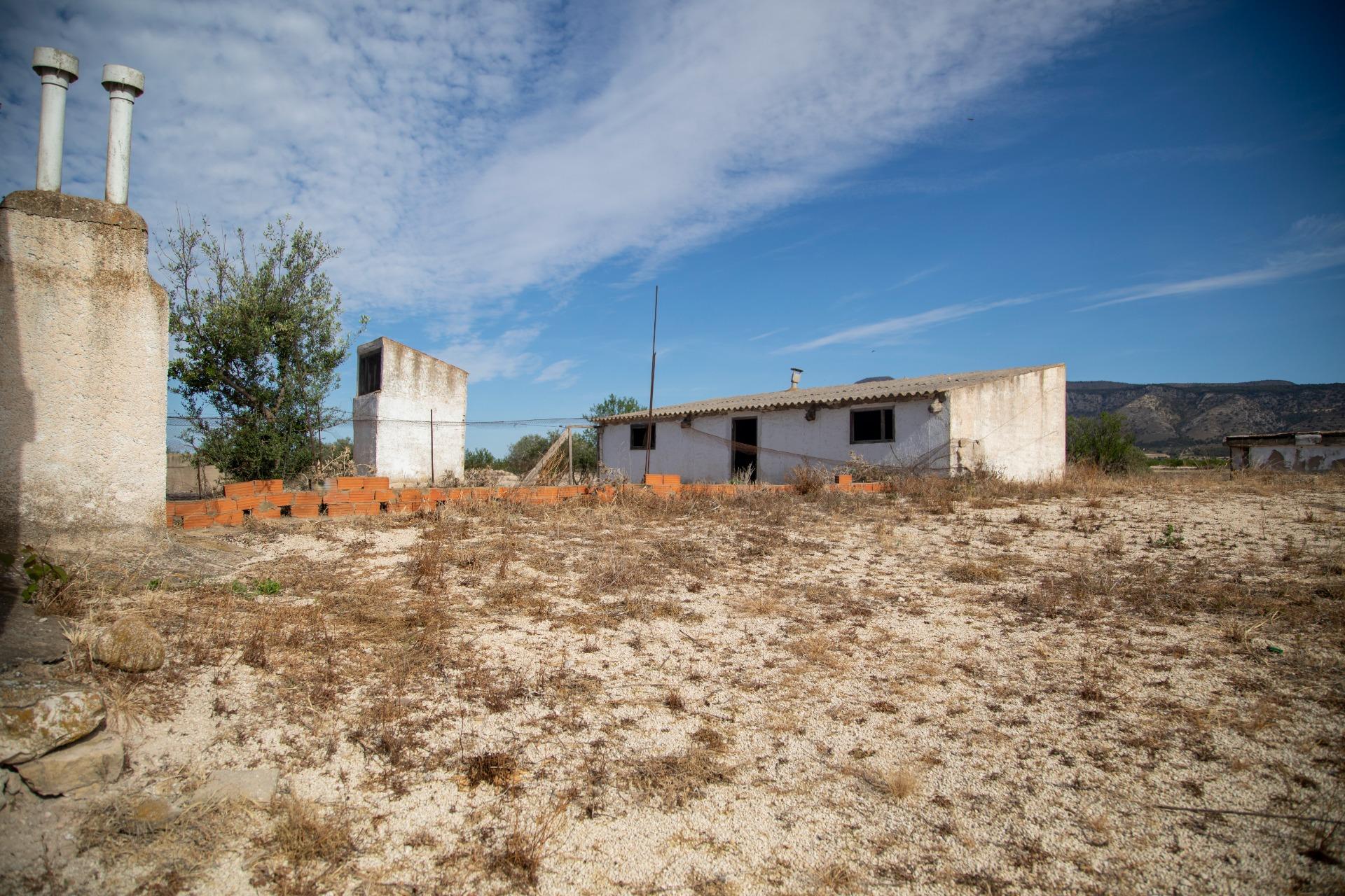 Pisos-Venta-Jumilla-832177-Foto-45