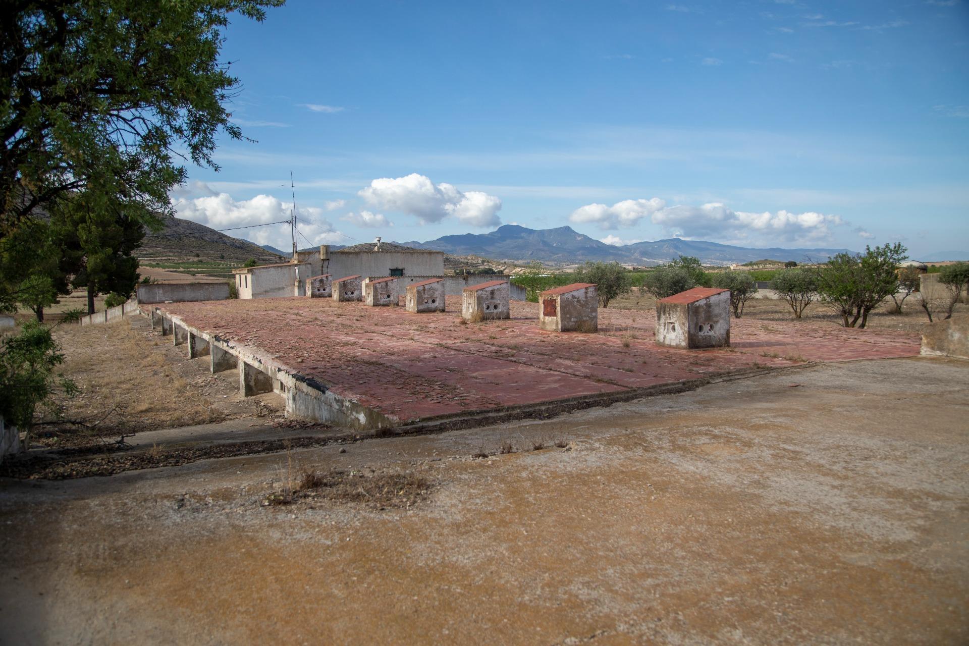 Pisos-Venta-Jumilla-832177-Foto-48