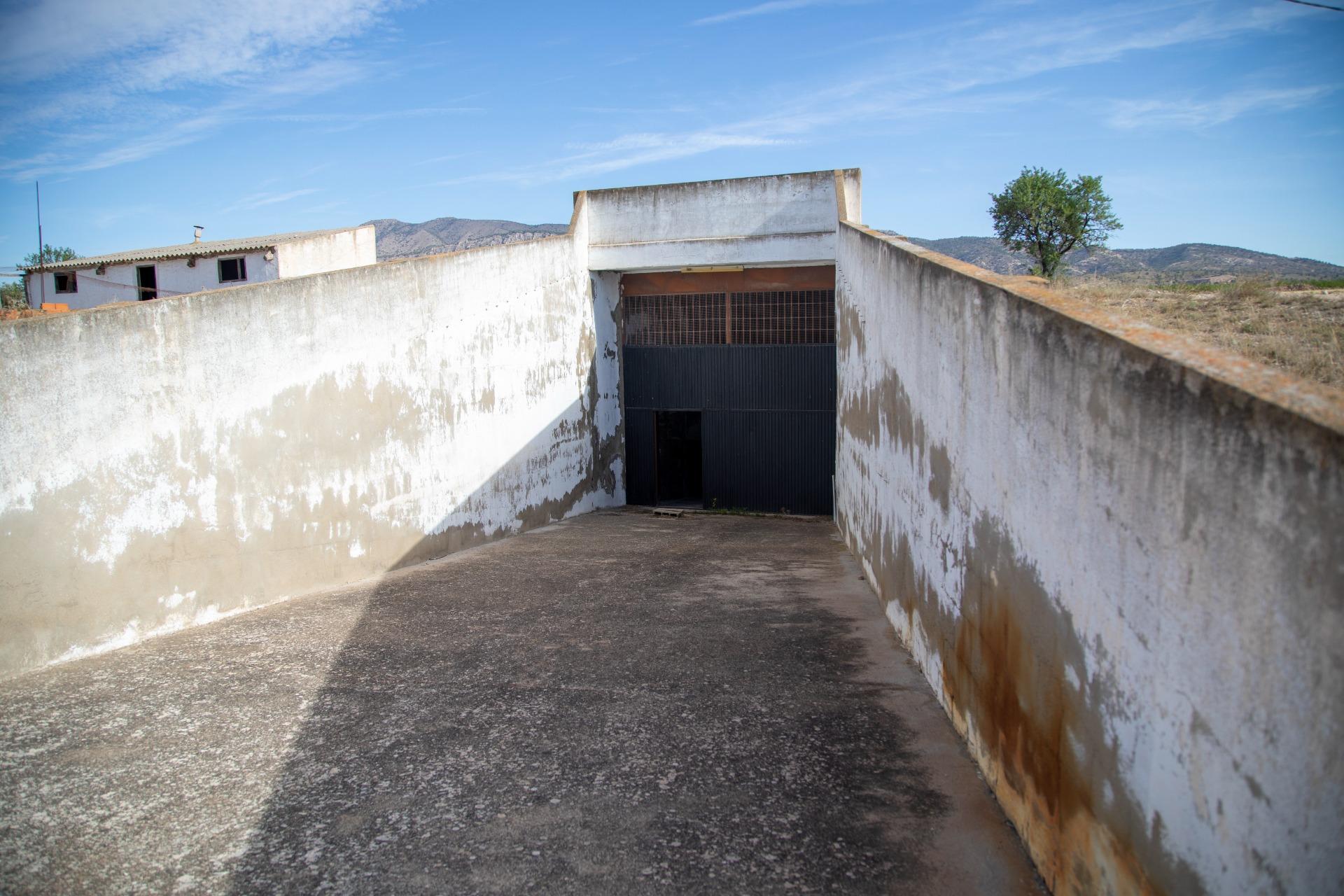 Pisos-Venta-Jumilla-832177-Foto-53