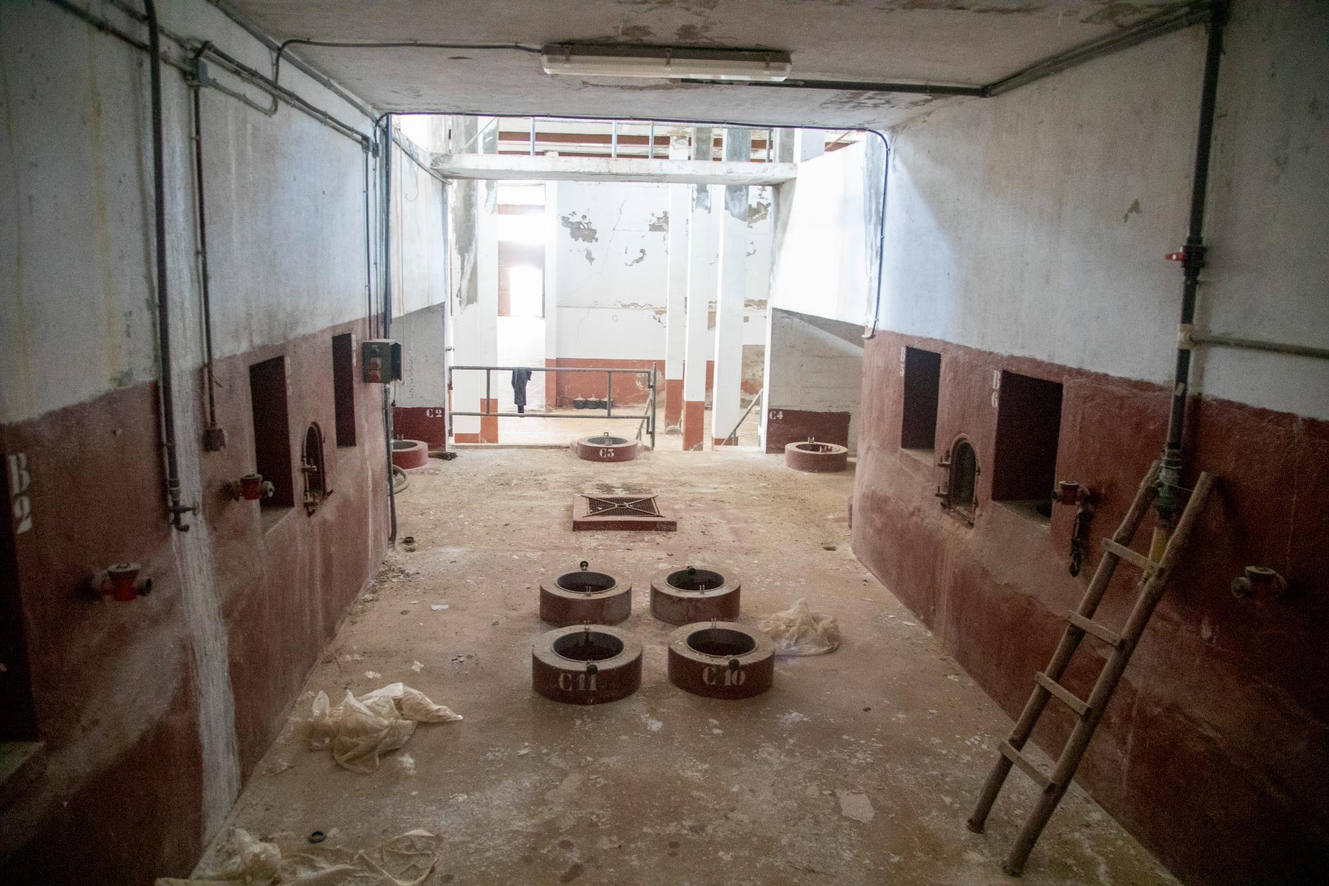 Pisos-Venta-Jumilla-832177-Foto-56