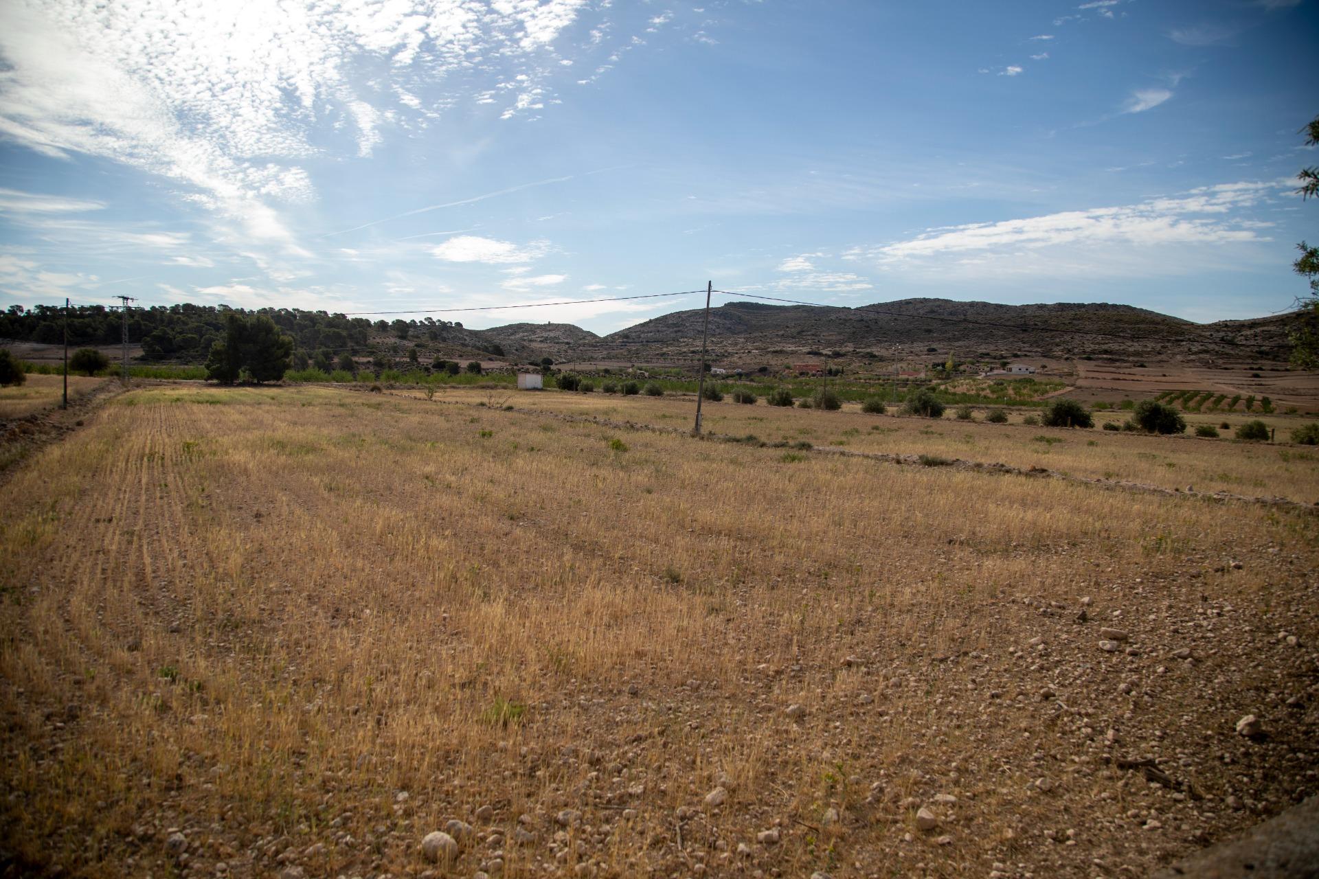 Pisos-Venta-Jumilla-832177-Foto-67