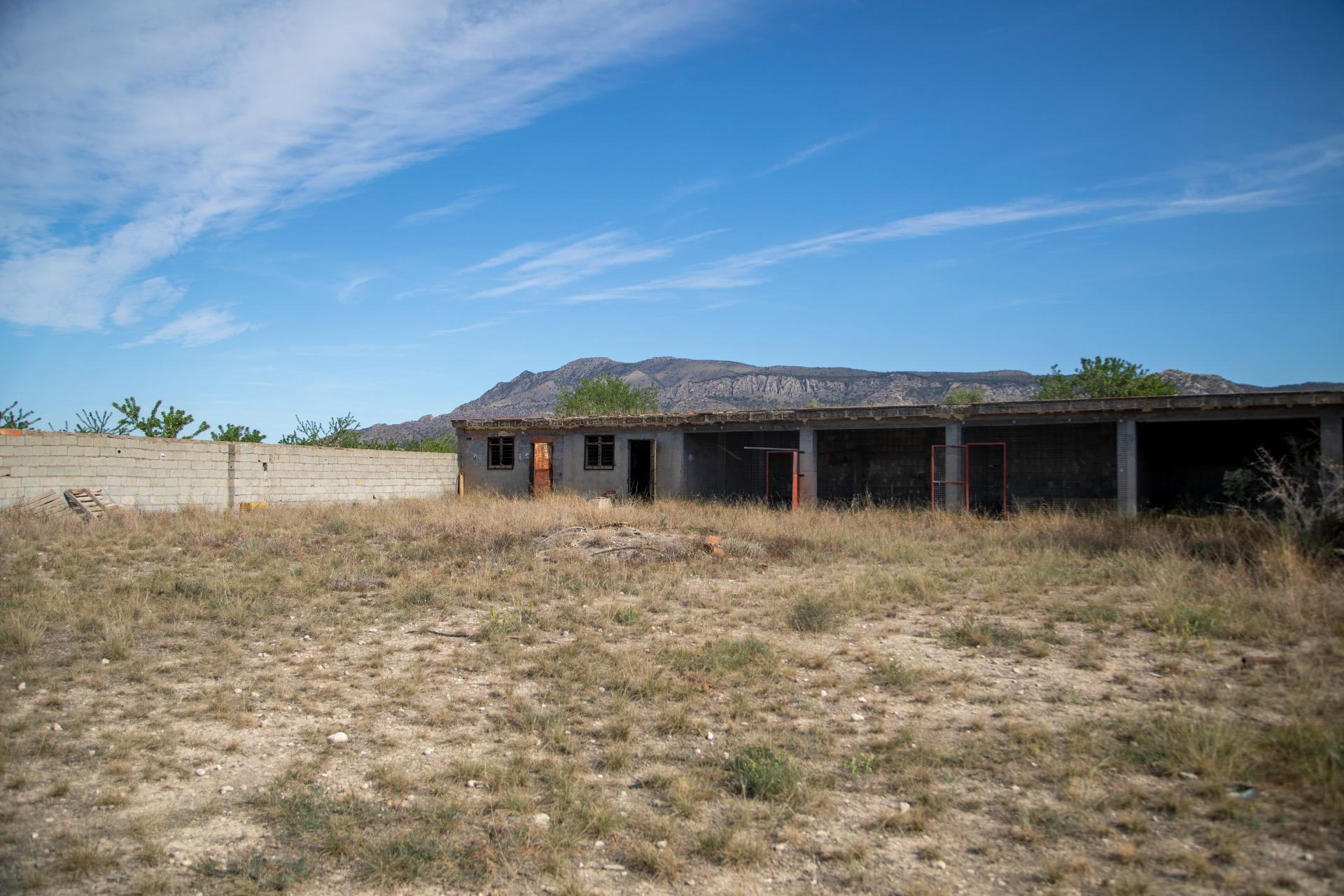 Pisos-Venta-Jumilla-832177-Foto-64