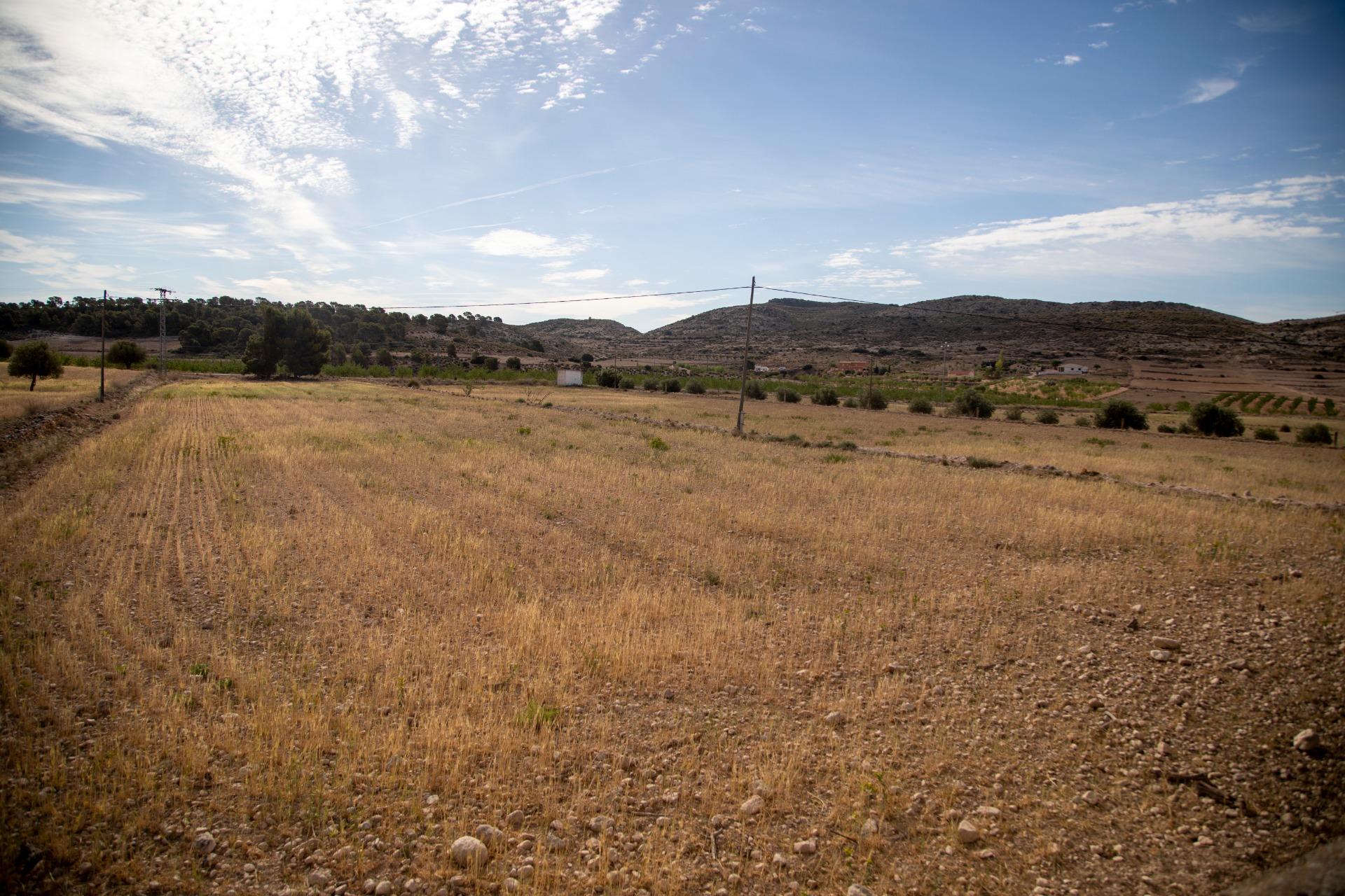 Pisos-Venta-Jumilla-832177-Foto-66