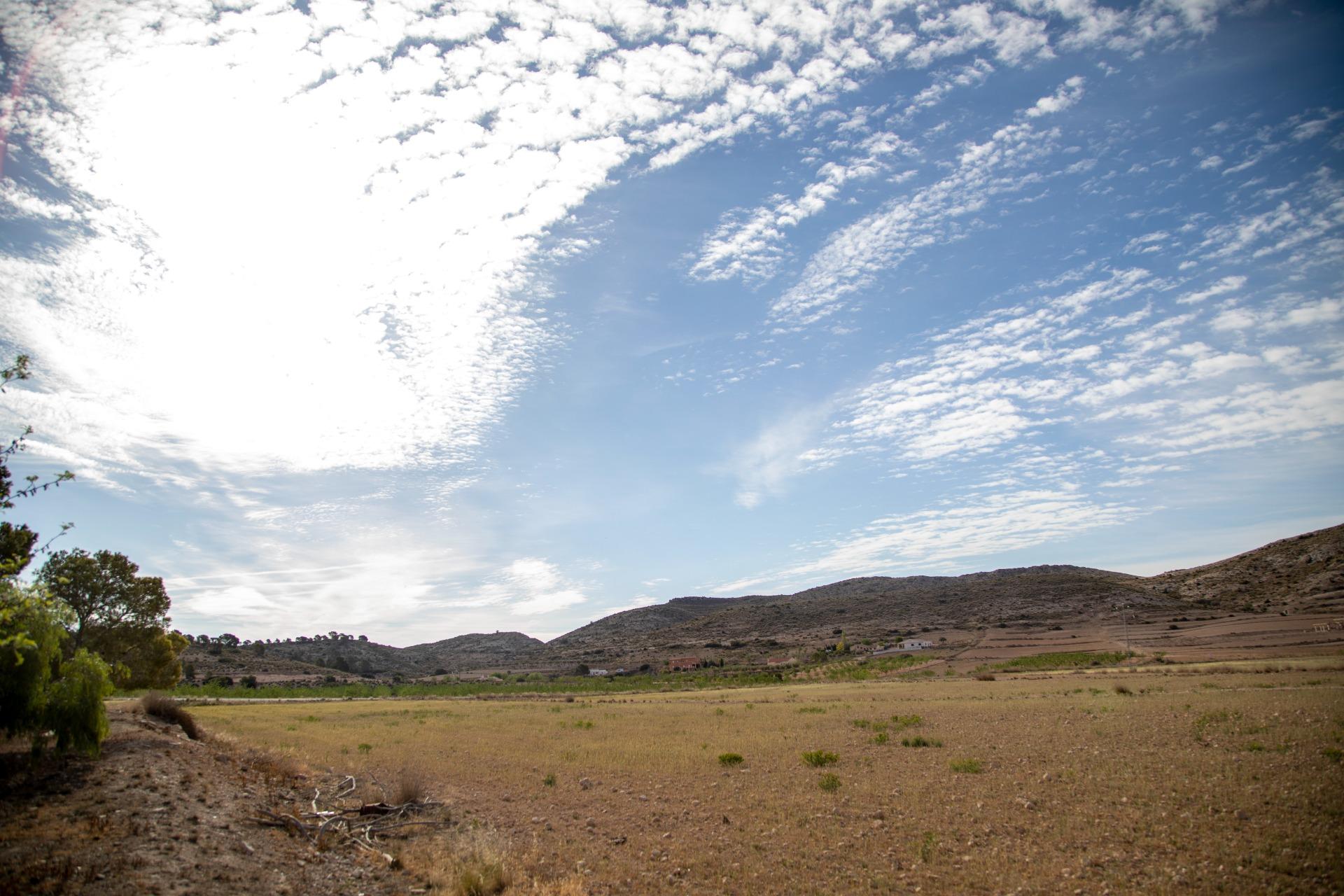 Pisos-Venta-Jumilla-832177-Foto-70