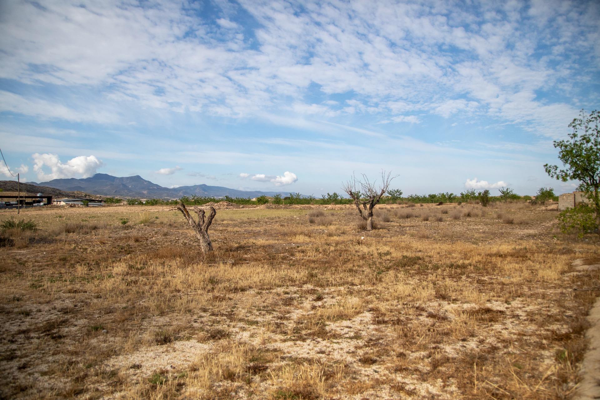 Pisos-Venta-Jumilla-832177-Foto-68