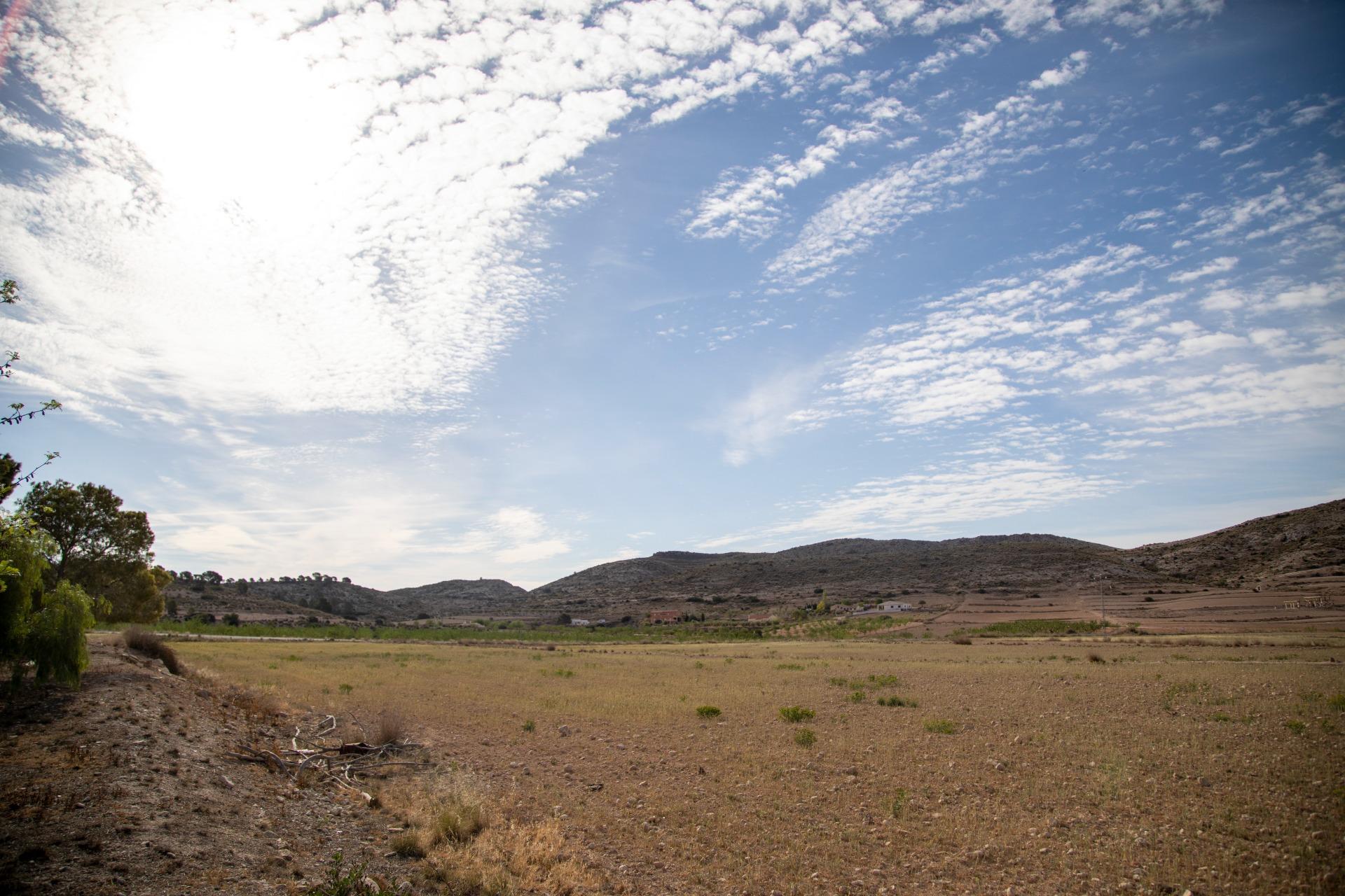 Pisos-Venta-Jumilla-832177-Foto-71