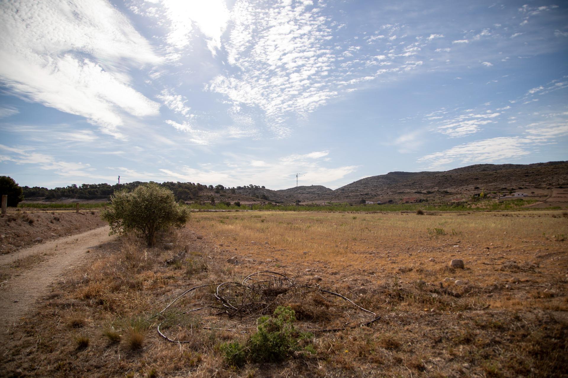 Pisos-Venta-Jumilla-832177-Foto-75