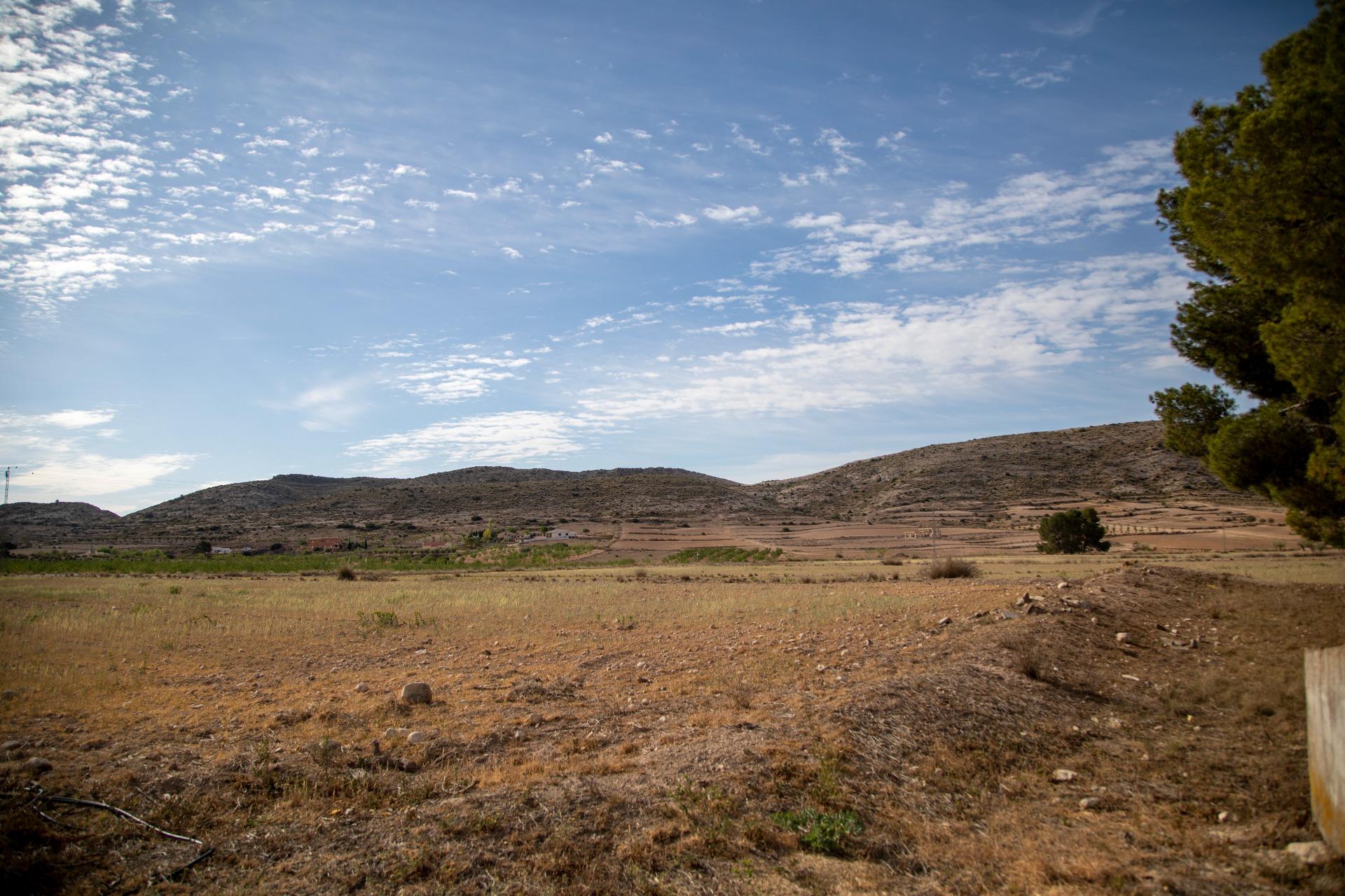 Pisos-Venta-Jumilla-832177-Foto-74