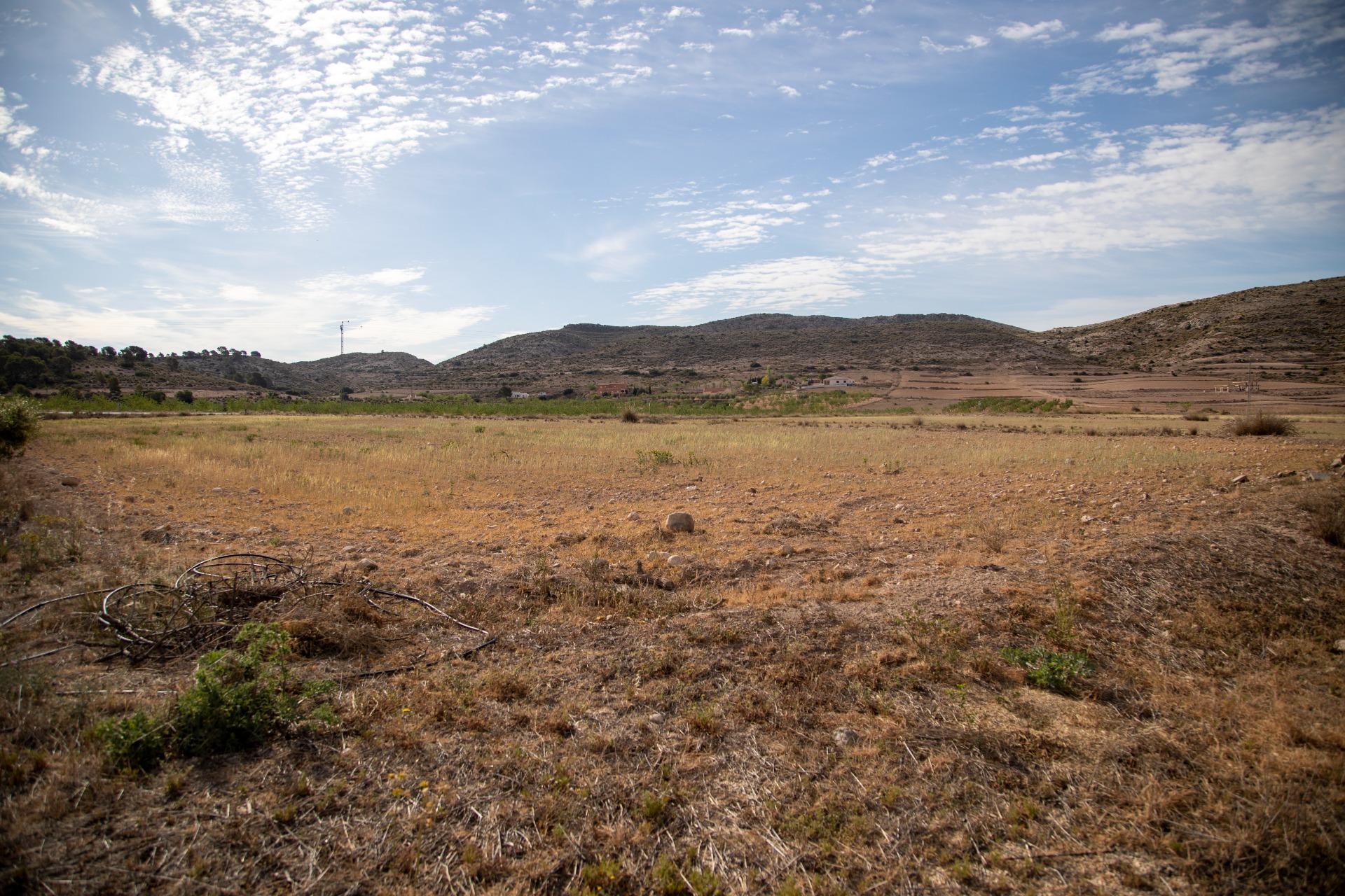 Pisos-Venta-Jumilla-832177-Foto-73