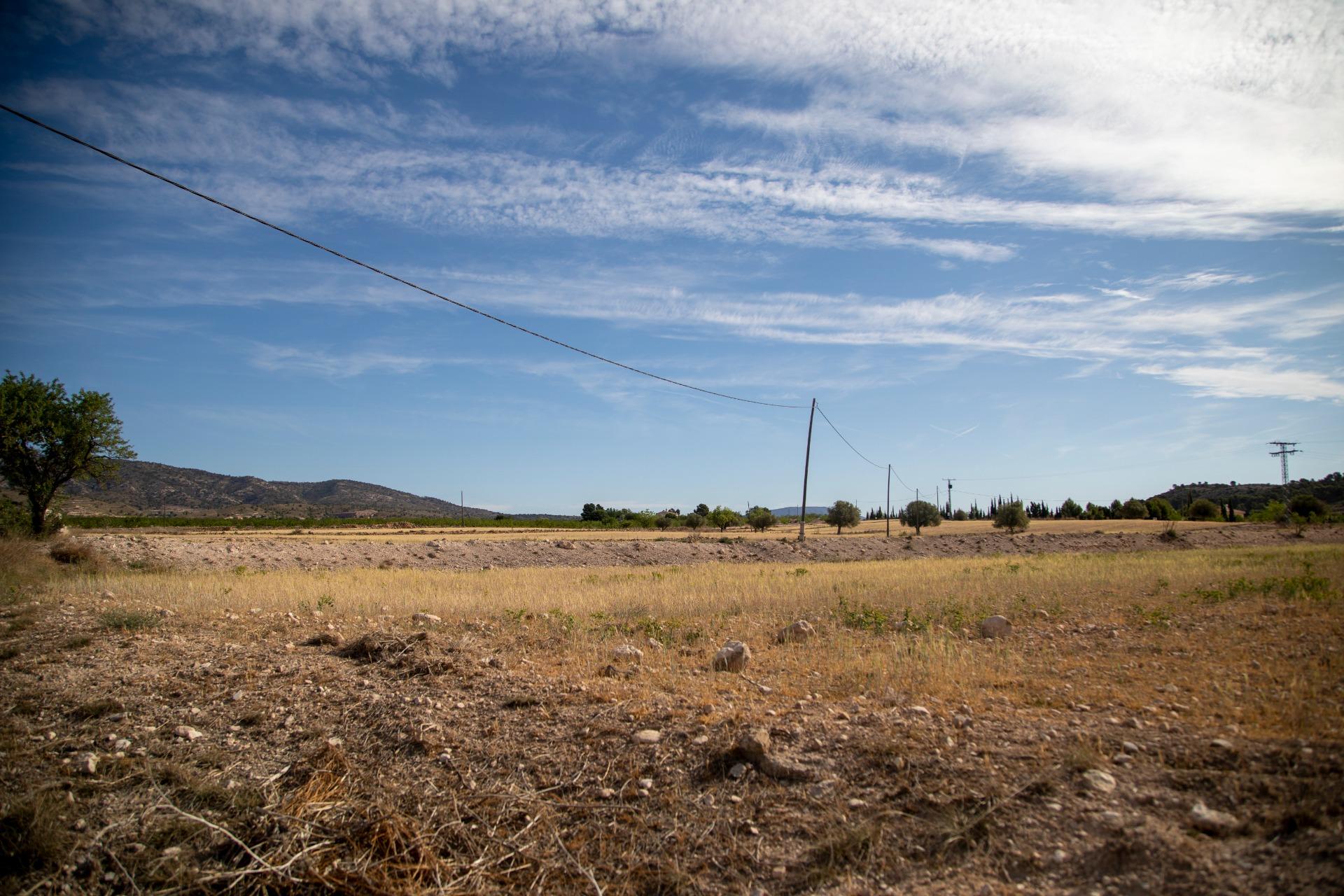 Pisos-Venta-Jumilla-832177-Foto-77