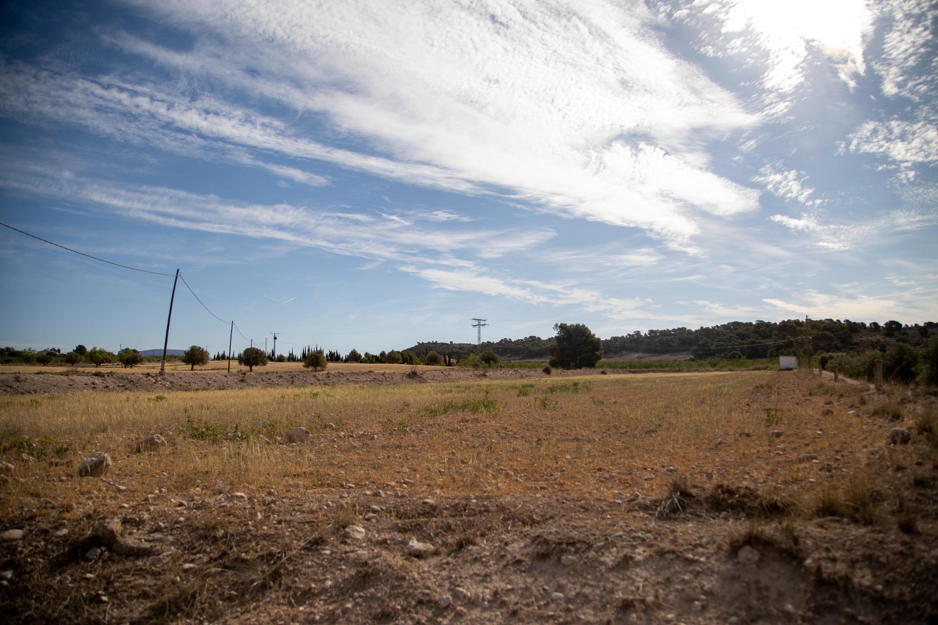 Pisos-Venta-Jumilla-832177-Foto-76