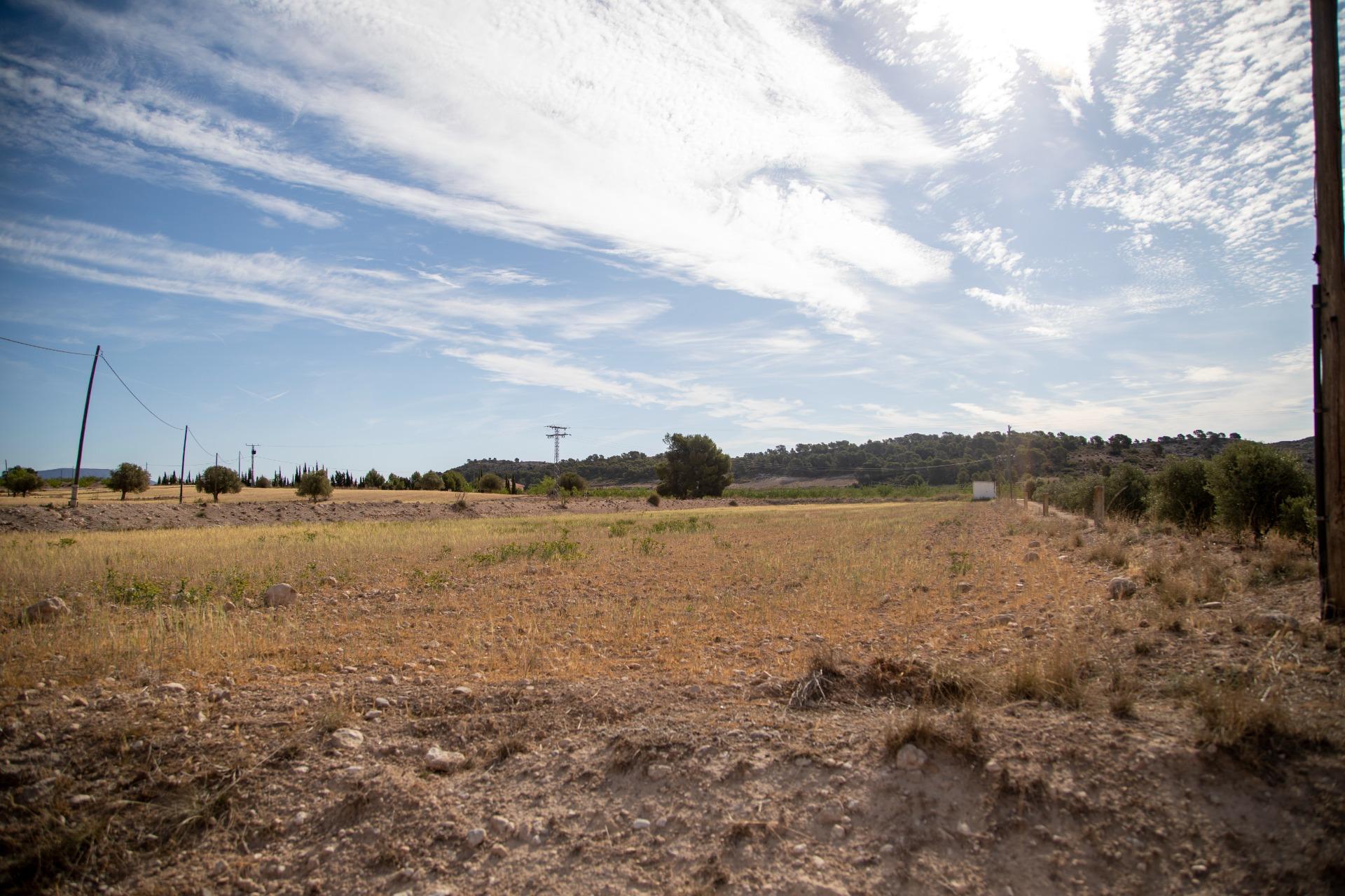 Pisos-Venta-Jumilla-832177-Foto-78