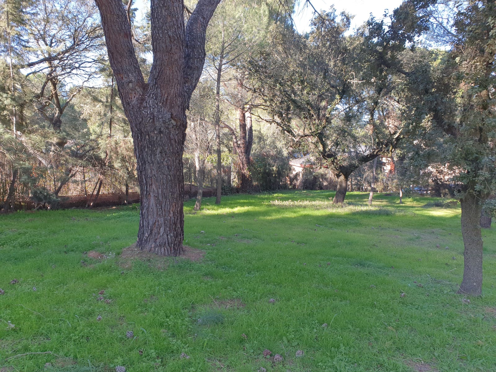 Pisos-Venta-Boadilla del Monte-897331-Foto-11