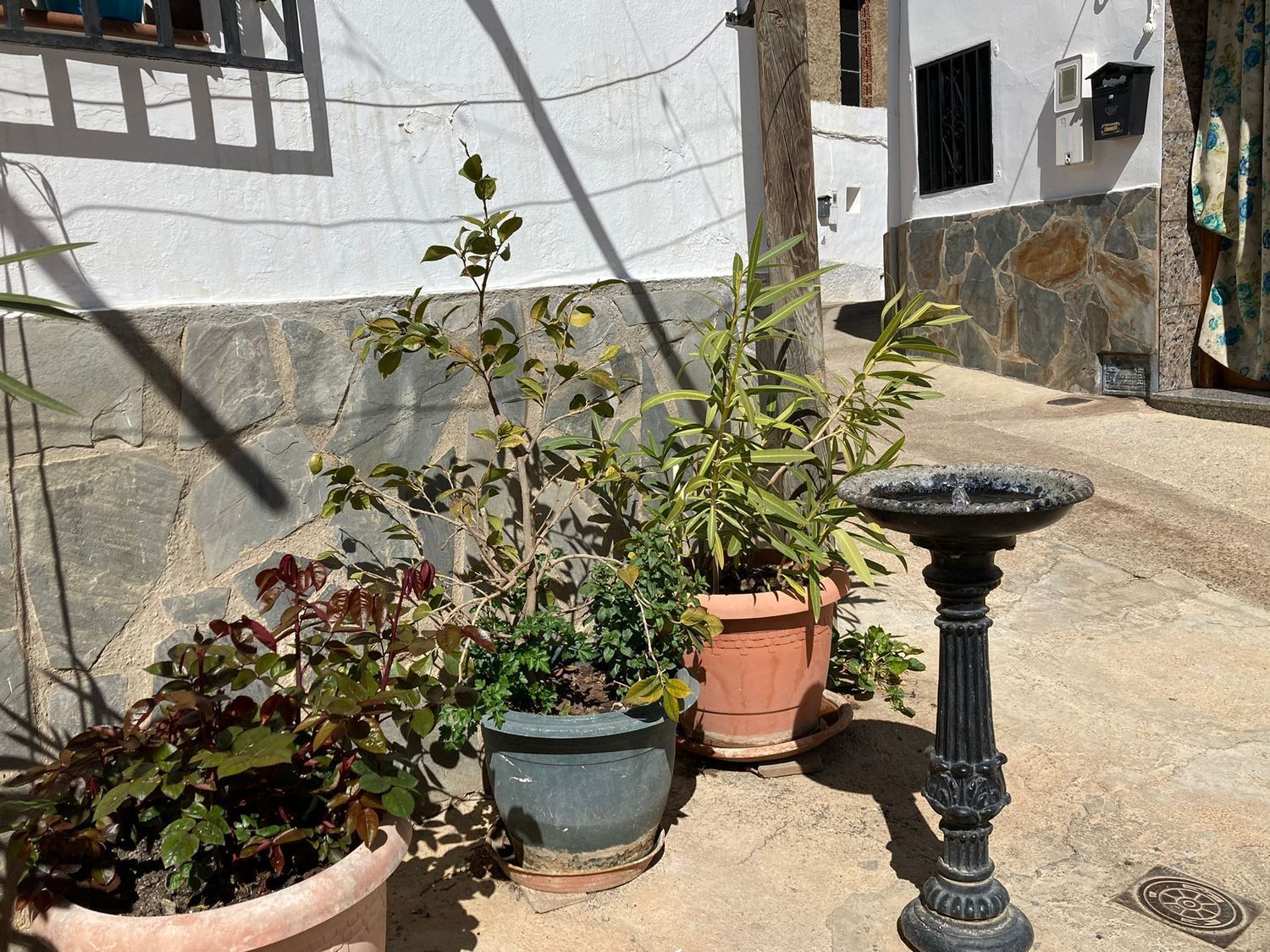 Casas o chalets-Venta-FiÃ±ana-925318-Foto-29