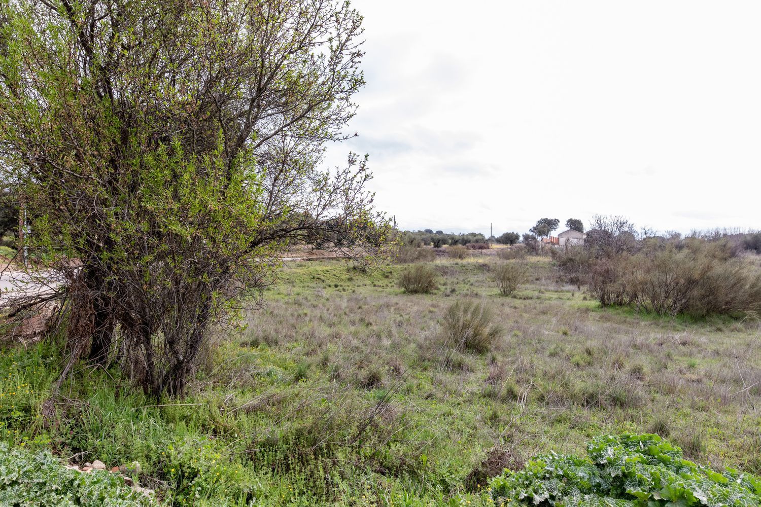 Negocios-Venta-MÃ©ntrida-1025591-Foto-7