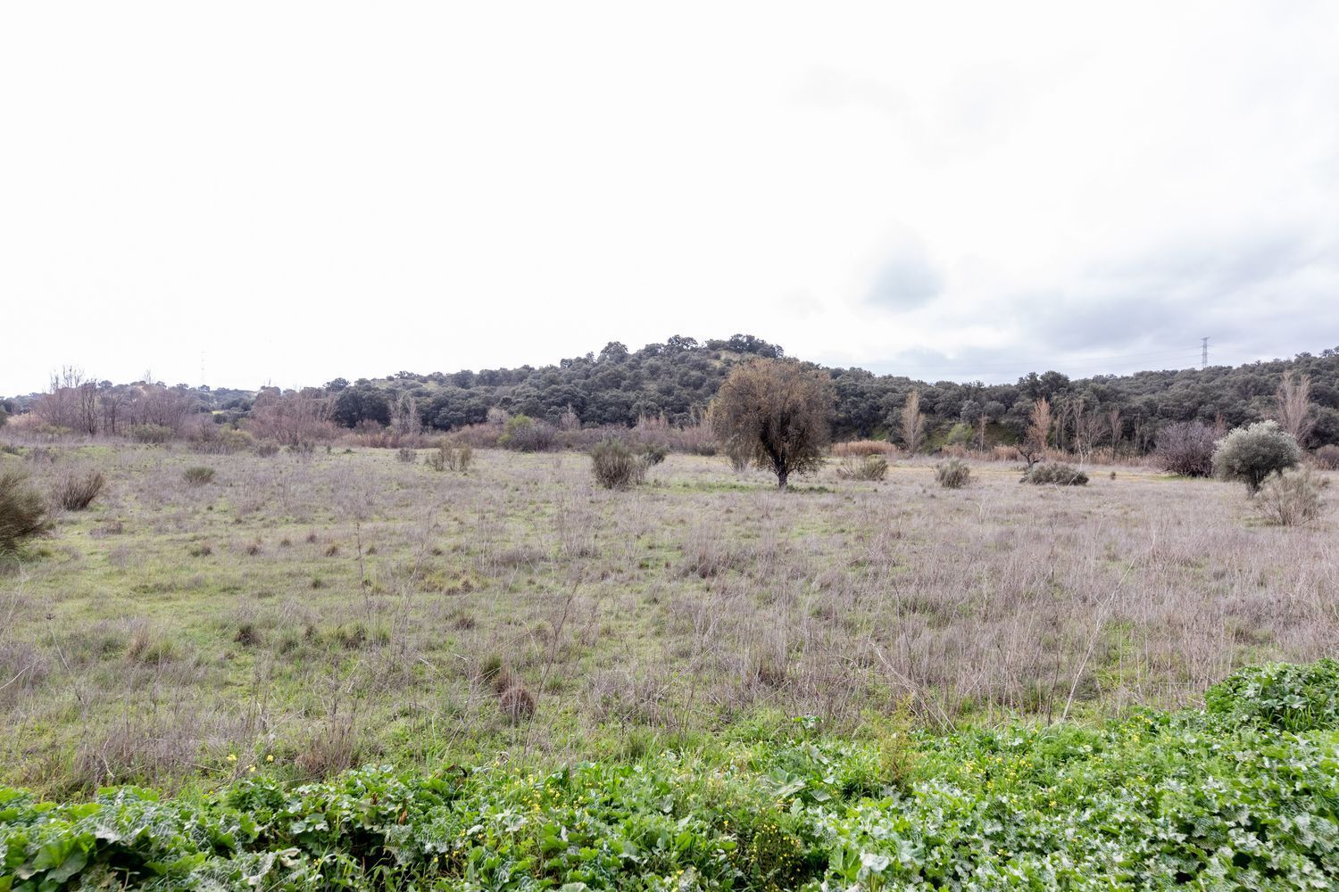 Negocios-Venta-MÃ©ntrida-1025591-Foto-8