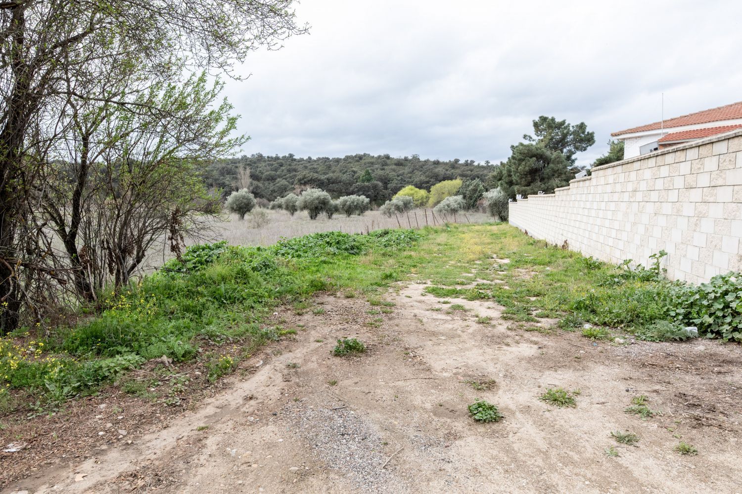 Fincas y solares-Venta-MÃ©ntrida-1025598-Foto-13