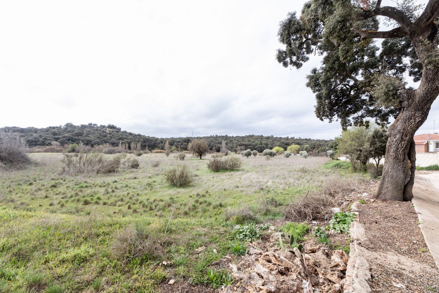 Fincas y solares-Venta-MÃ©ntrida-1025598-Foto-15