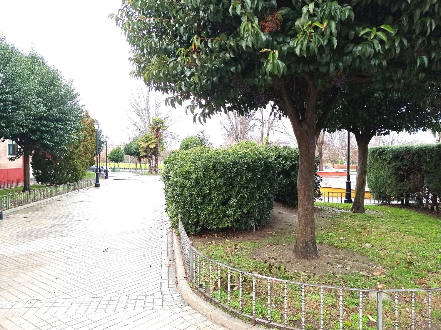 Pisos-Alquiler-Laguna de Duero-1972979-Foto-3