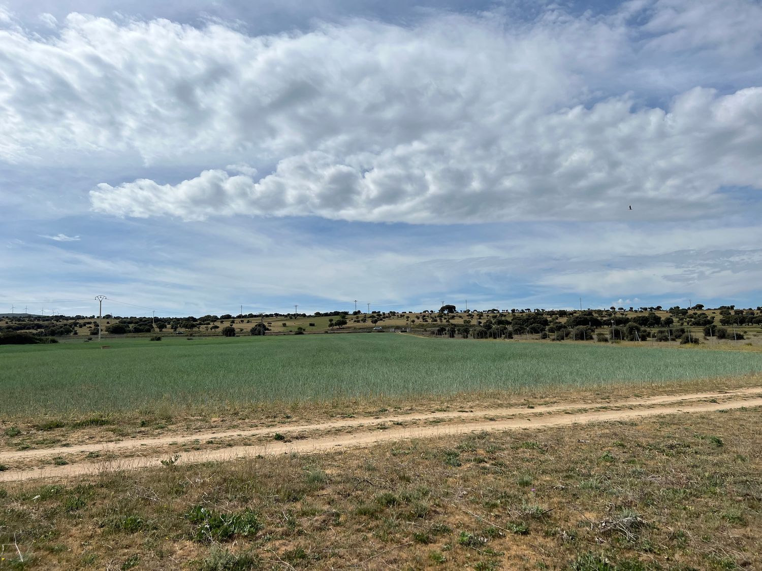 Fincas y solares-Venta-Ãvila-1068103-Foto-24