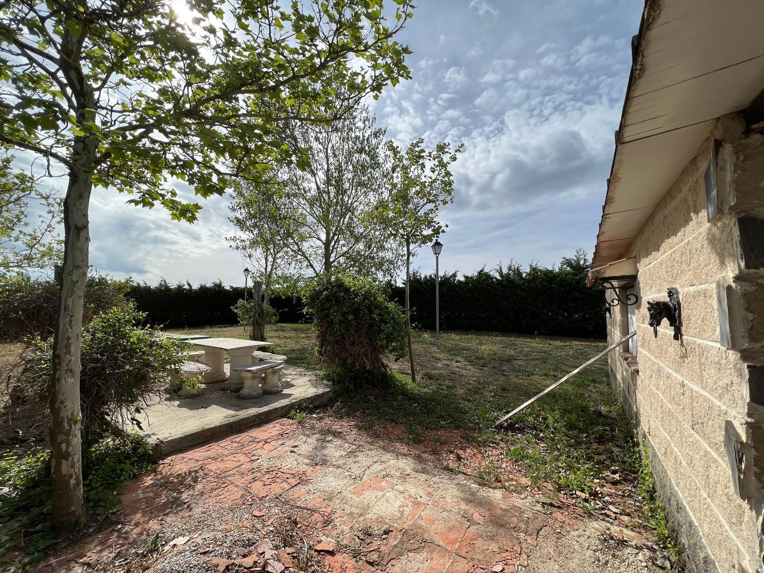 Fincas y solares-Venta-Ãvila-1068103-Foto-40