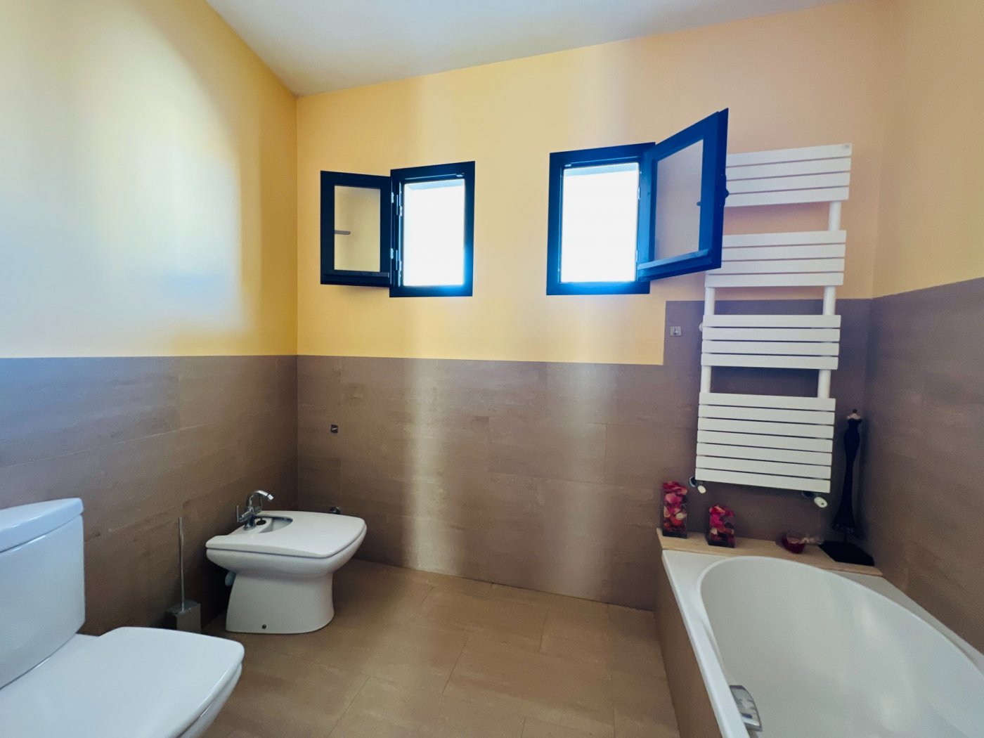 Casas o chalets-Venta-Campos-788480-Foto-35