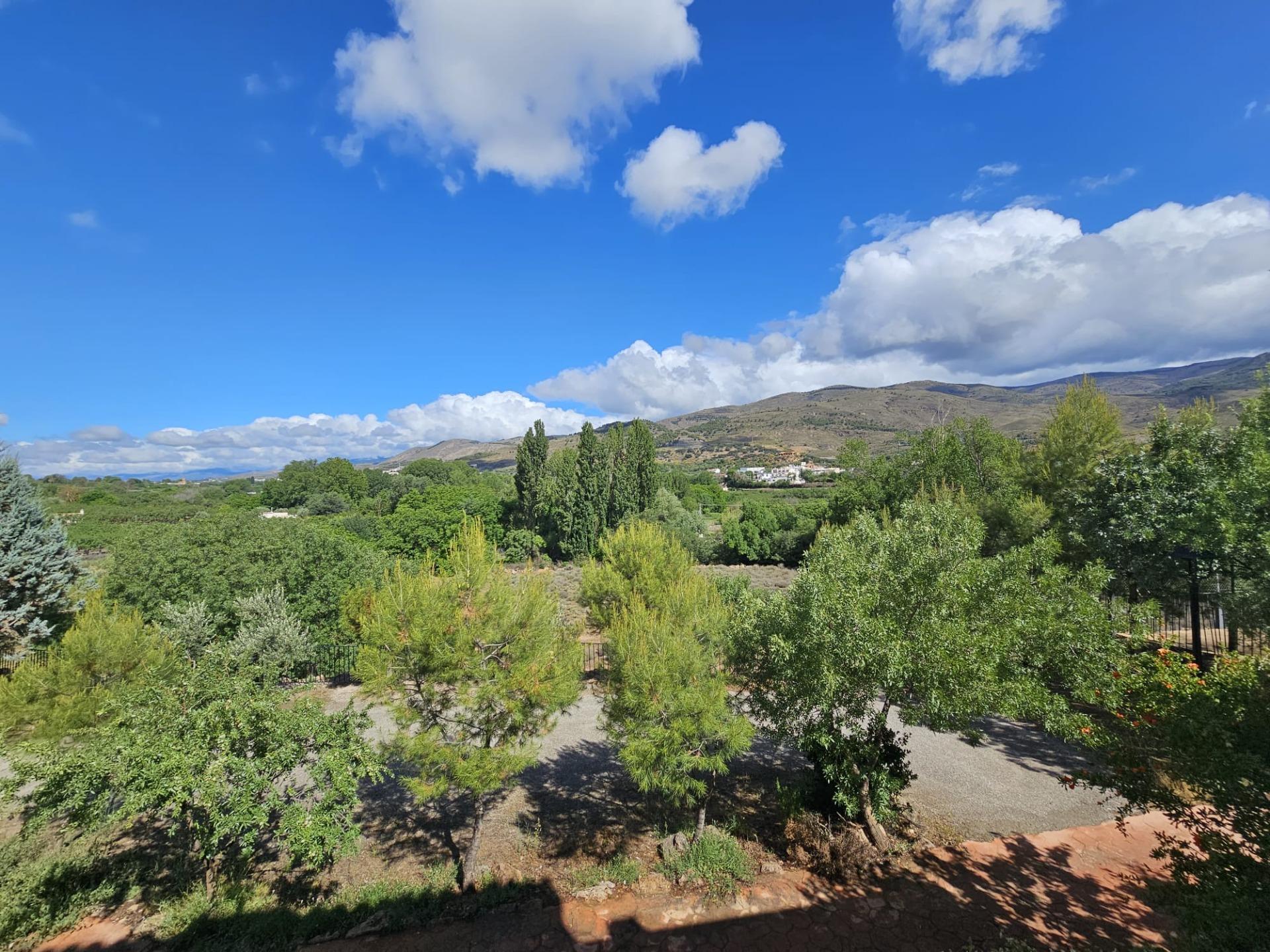 Pisos-Venta-FondÃ³n-865122-Foto-18