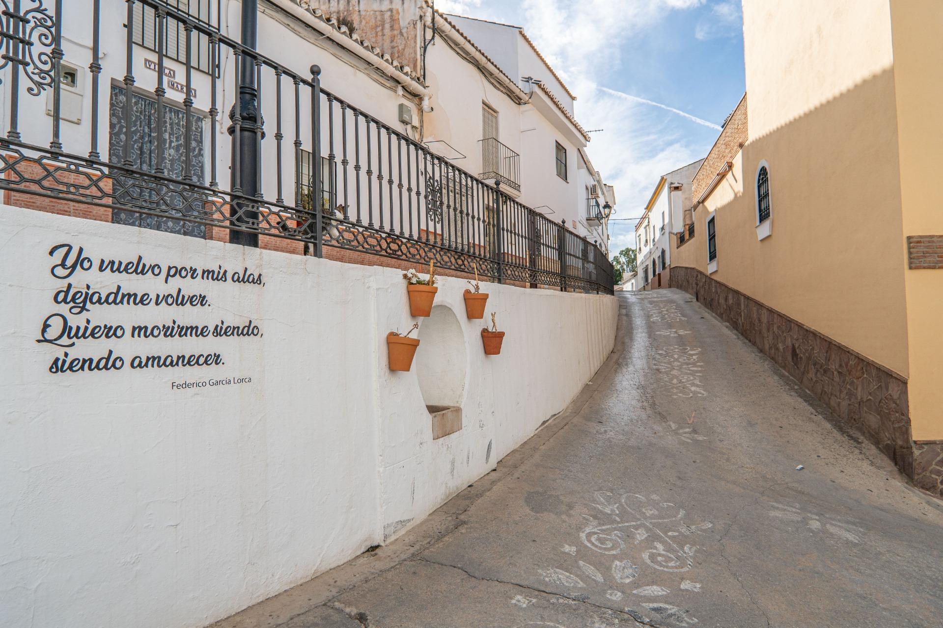 Casas o chalets-Venta-Pizarra-1048664-Foto-2