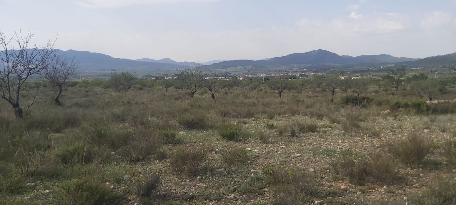 Suelo en venta, Salinas