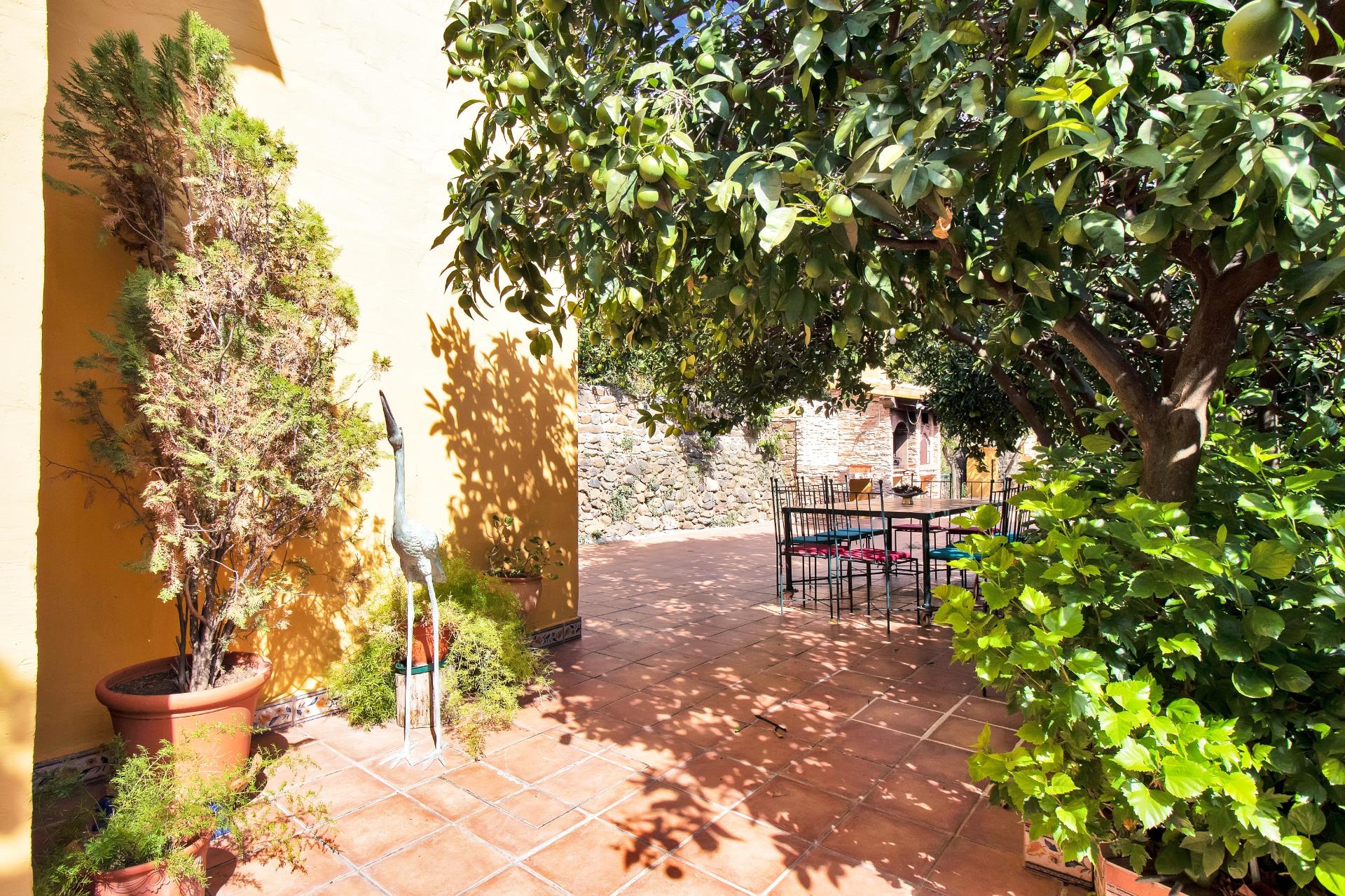 Pisos-Venta-OjÃ©n-990148-Foto-56