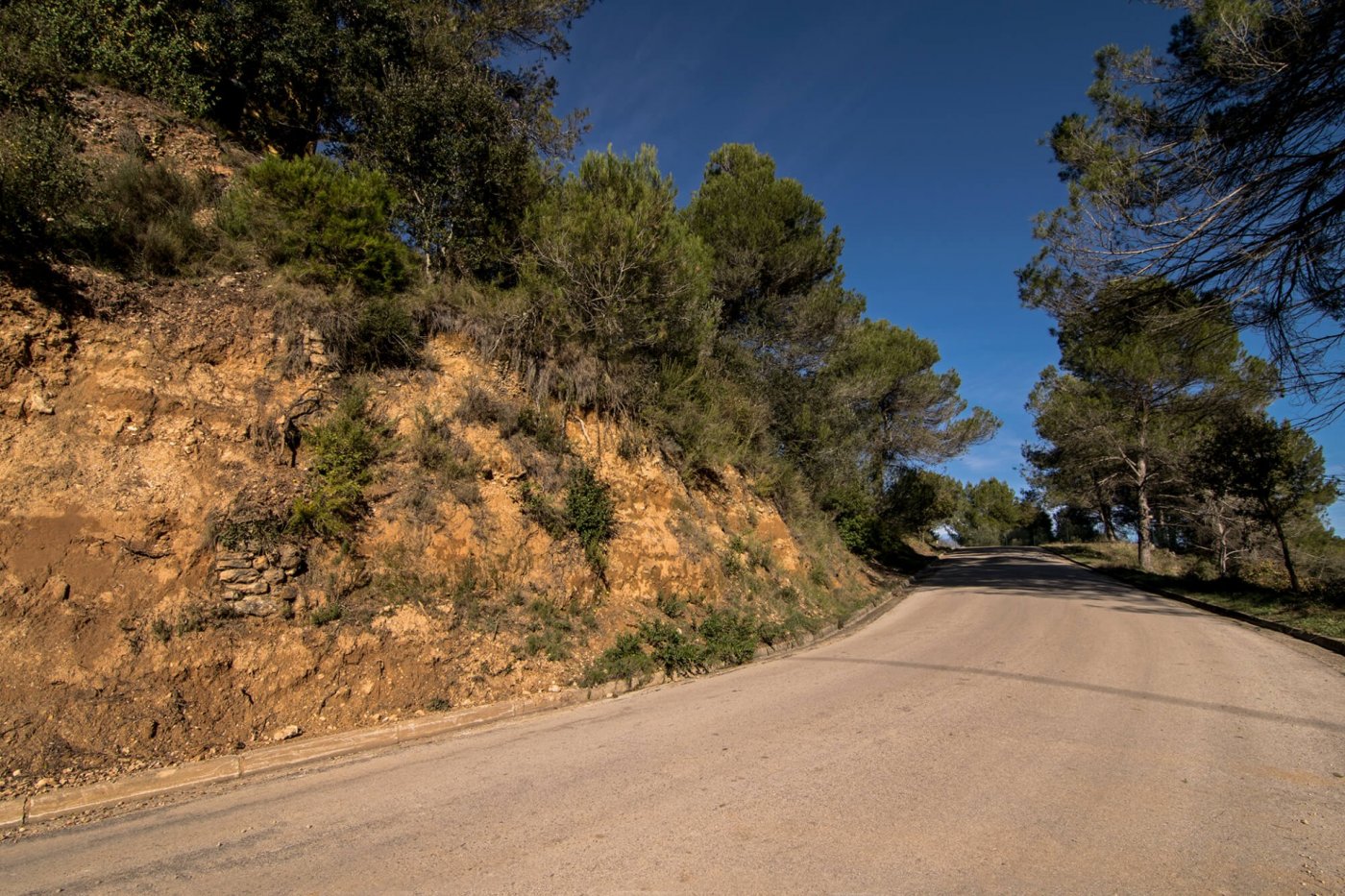 Fincas y solares-Venta-Castellbell i el Vilar-781096-Foto-9