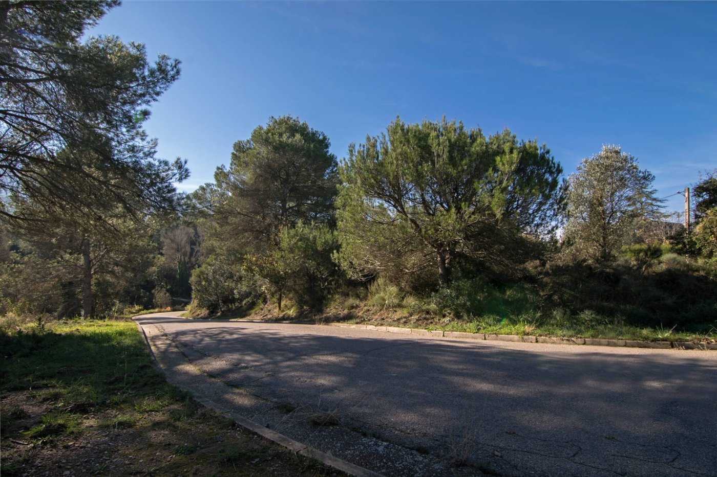 Fincas y solares-Venta-Castellbell i el Vilar-781096-Foto-8