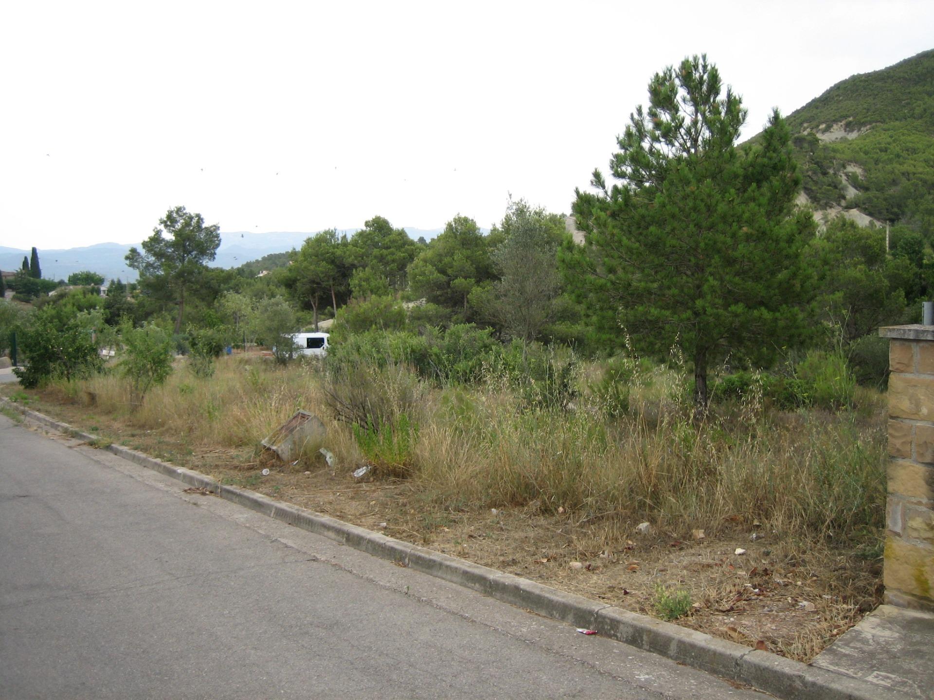 Fincas y solares-Venta-Castellbell i el Vilar-781096-Foto-10