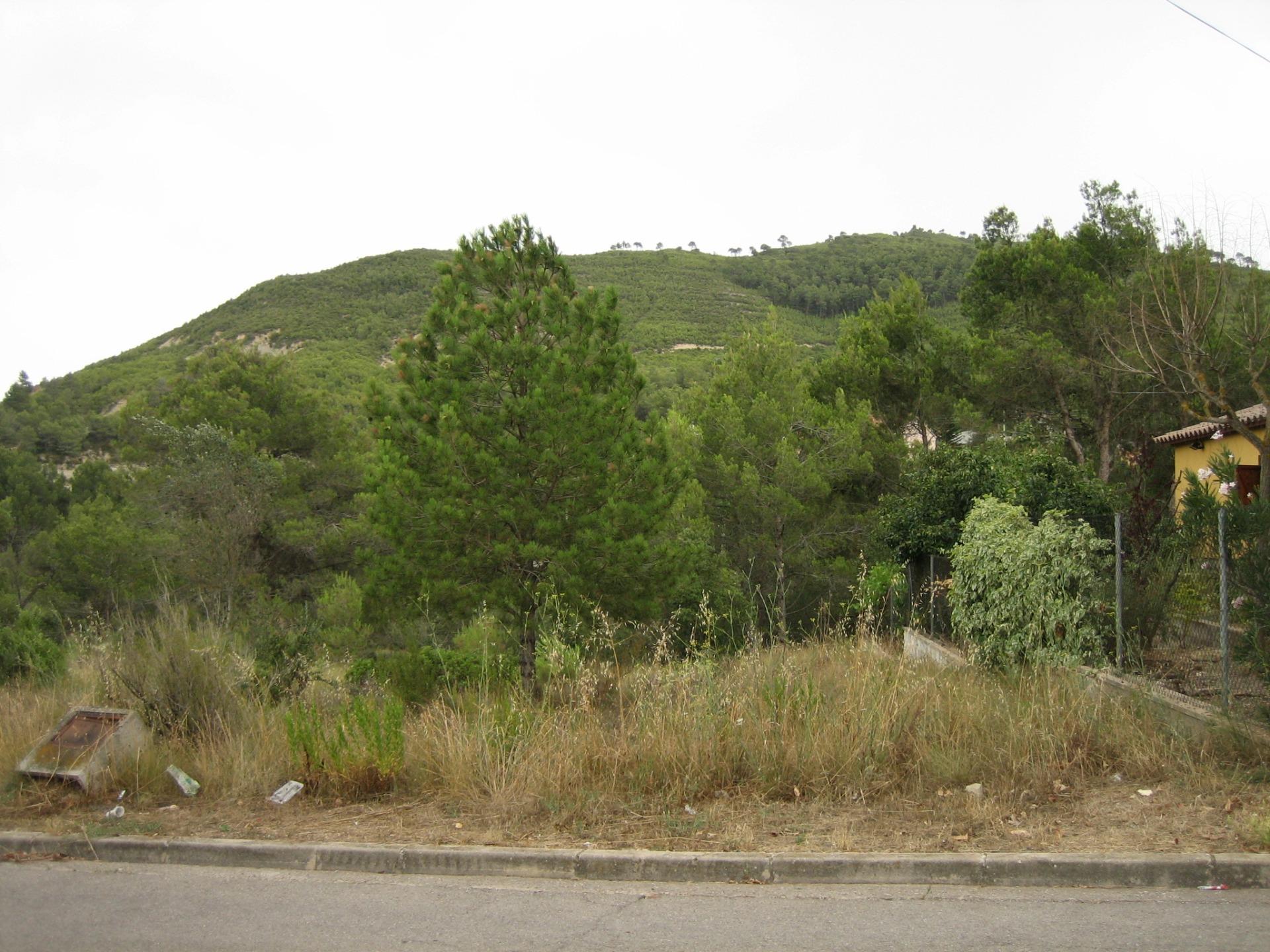 Fincas y solares-Venta-Castellbell i el Vilar-781096-Foto-13