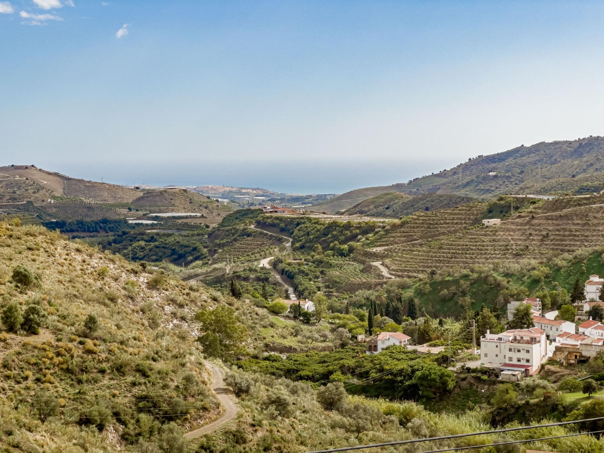 Casas o chalets-Venta-Macharaviaya-1063648-Foto-41