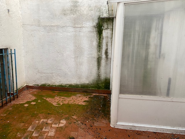Pisos-Venta-PeÃ±aranda de Bracamonte-1064422-Foto-9