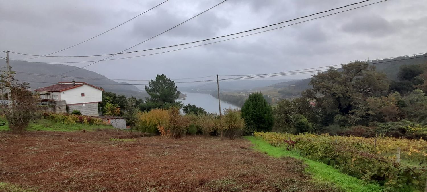 Freás, Ourense