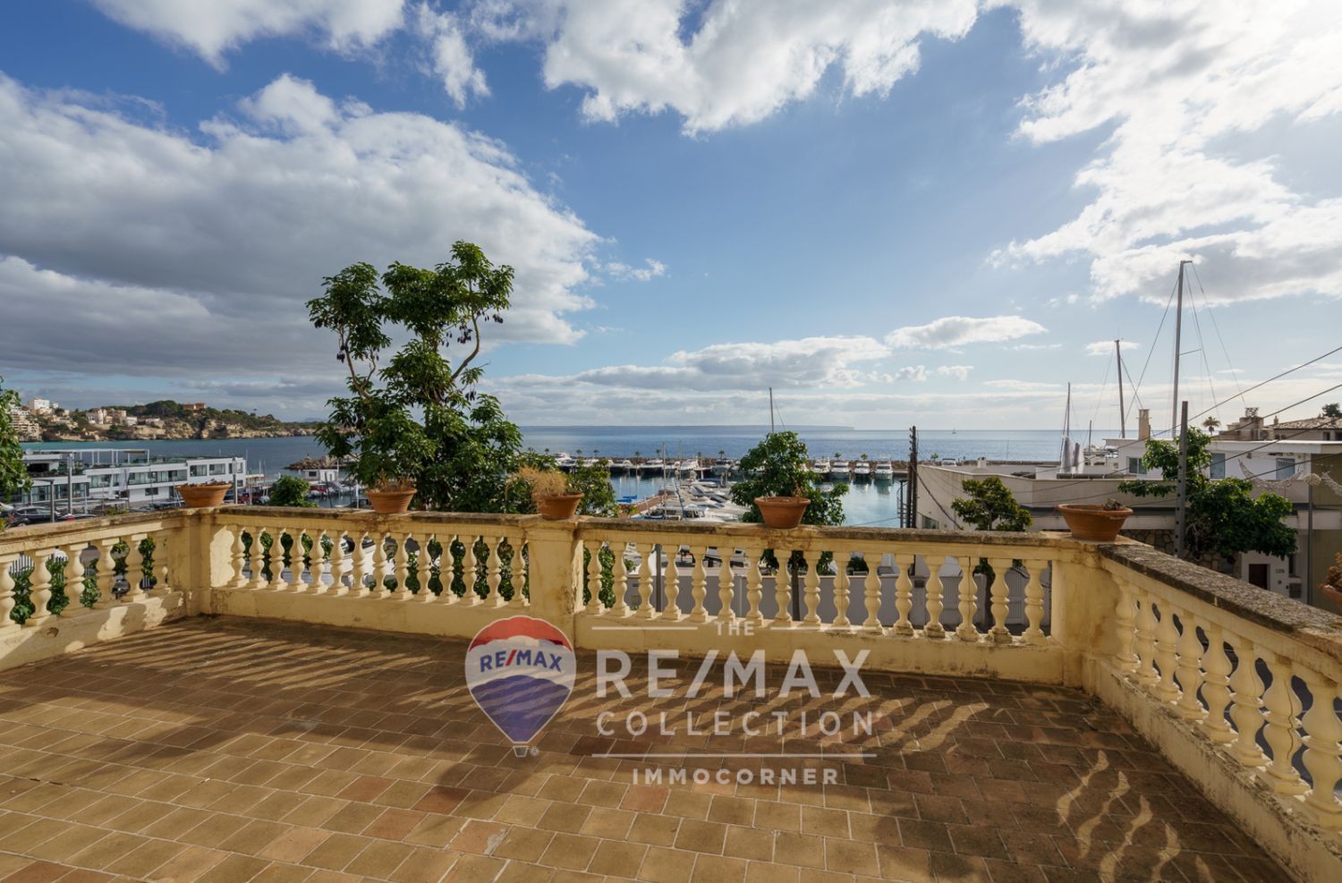Terraza