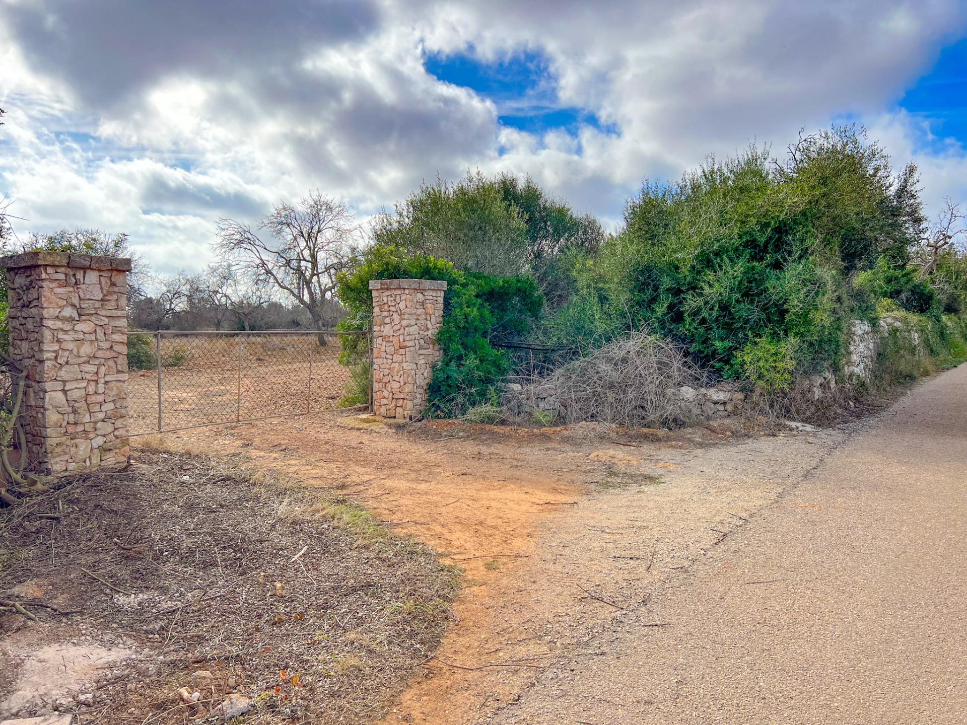 Terreno en venta  Felanitx  4/17