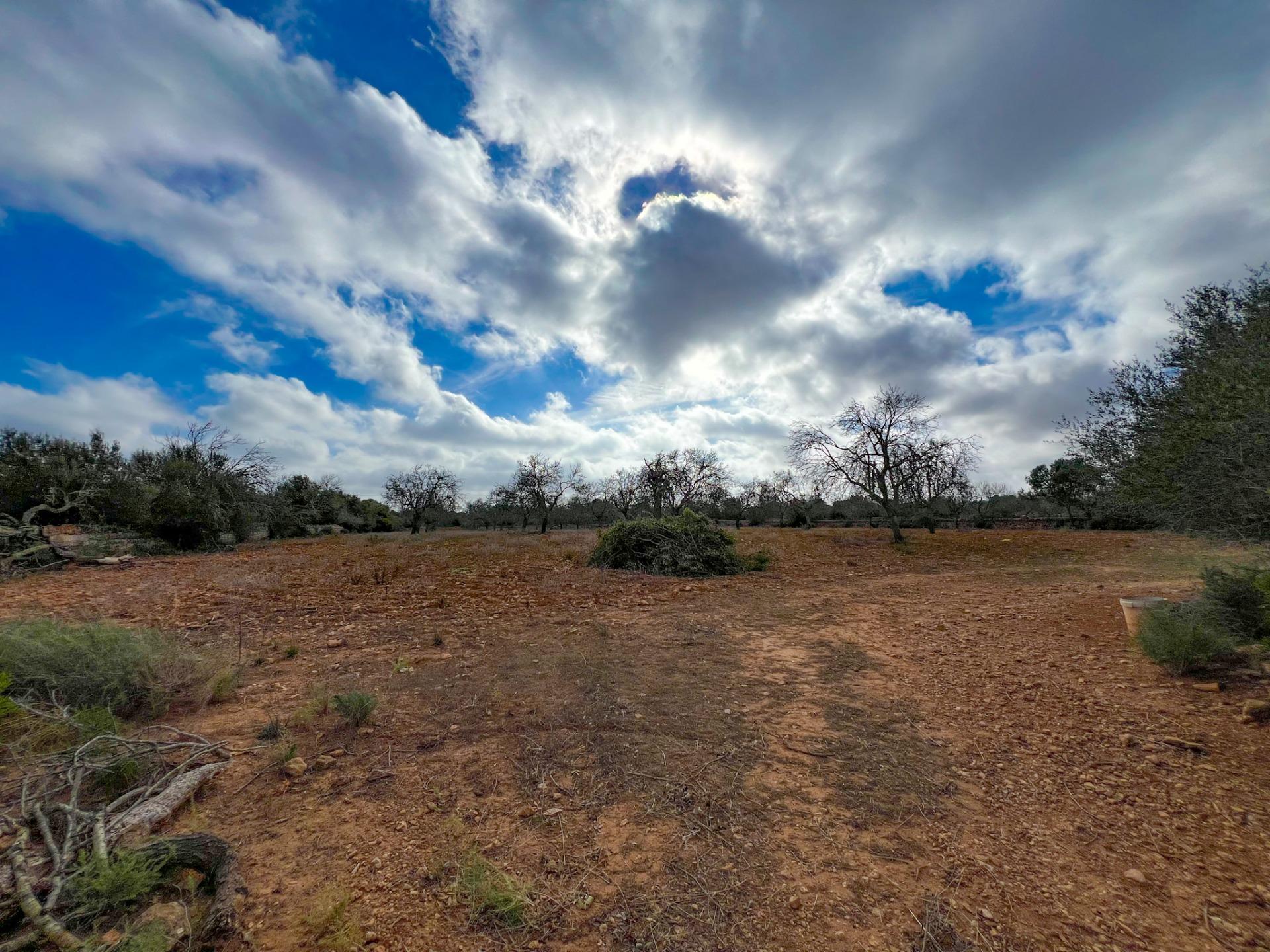 Terreno en venta  Felanitx  8/17