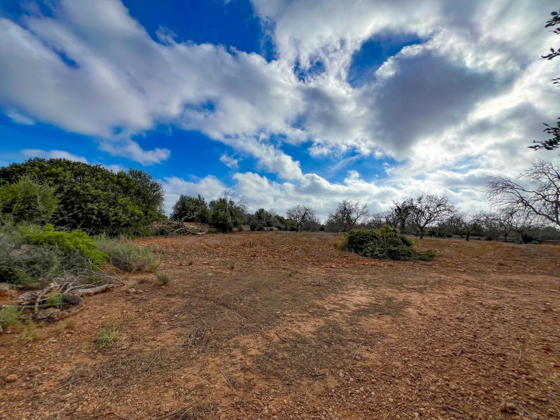 Terreno en venta  Felanitx  11/17