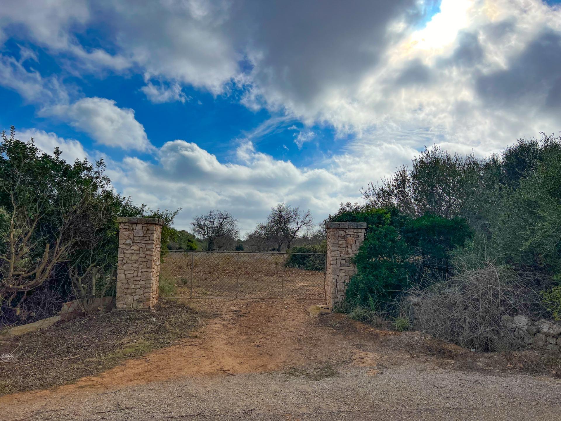 Terreno en venta  Felanitx  13/17