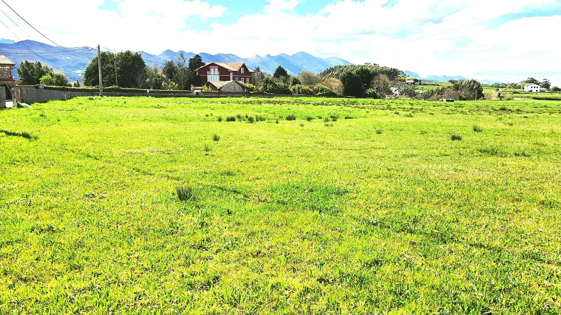 Fincas y solares-Venta-Ribadedeva-1047004-Foto-6