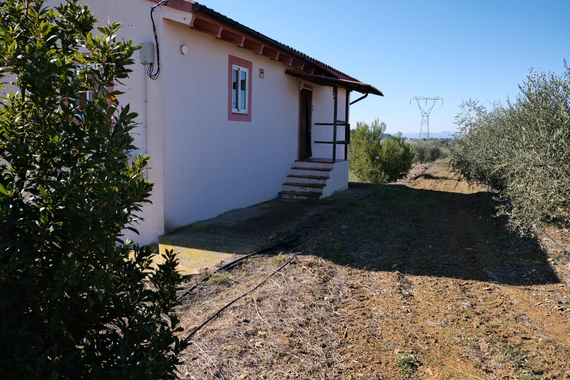 Casas o chalets-Venta-La Bisbal de Falset-1090408-Foto-4