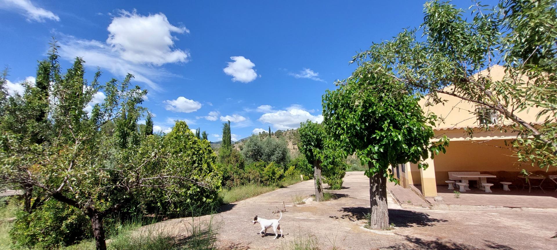 Pisos-Venta-Nerpio-1089579-Foto-9